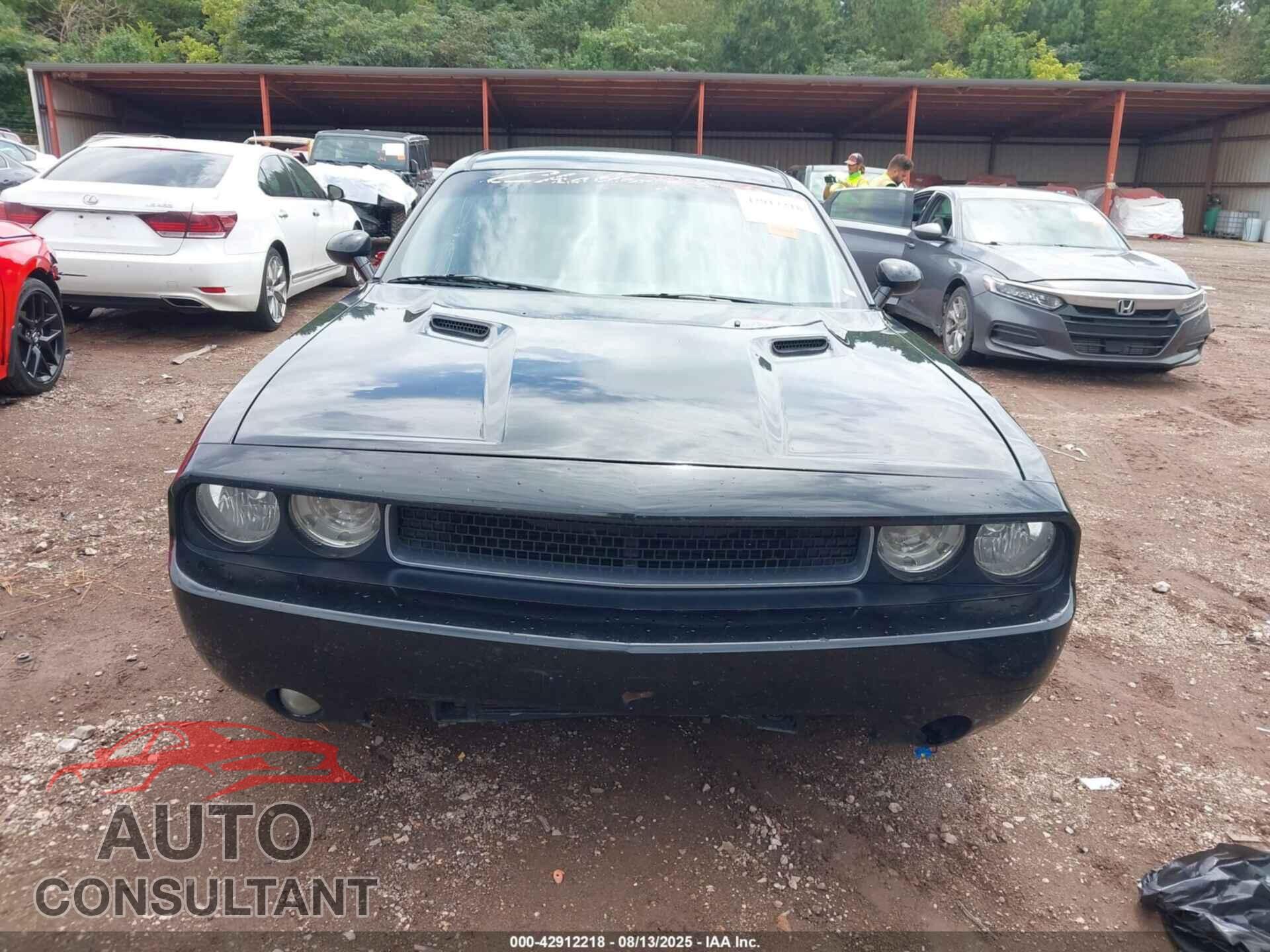 DODGE CHALLENGER 2012 - 2C3CDYAG3CH290850