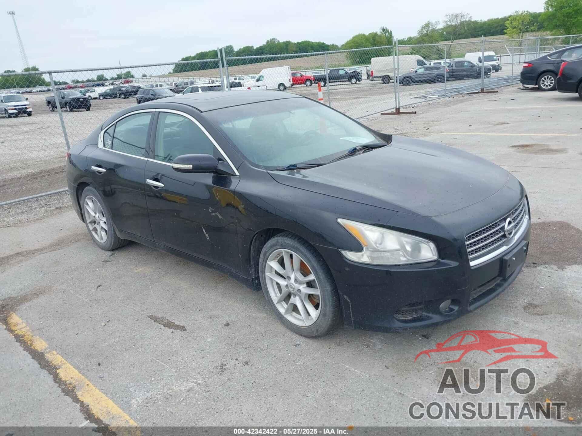 NISSAN MAXIMA 2010 - 1N4AA5AP2AC816952