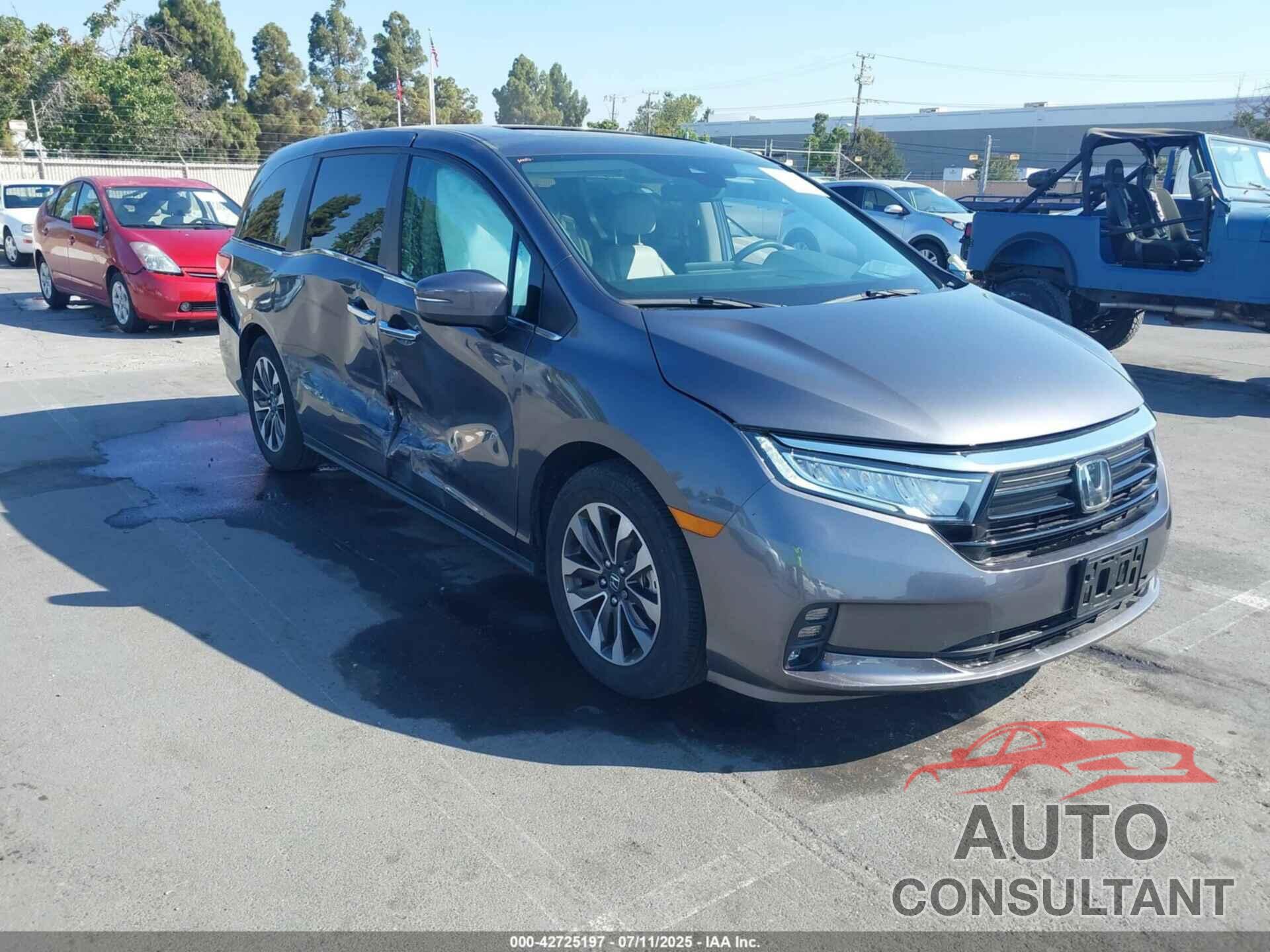 HONDA ODYSSEY 2024 - 5FNRL6H66RB001727