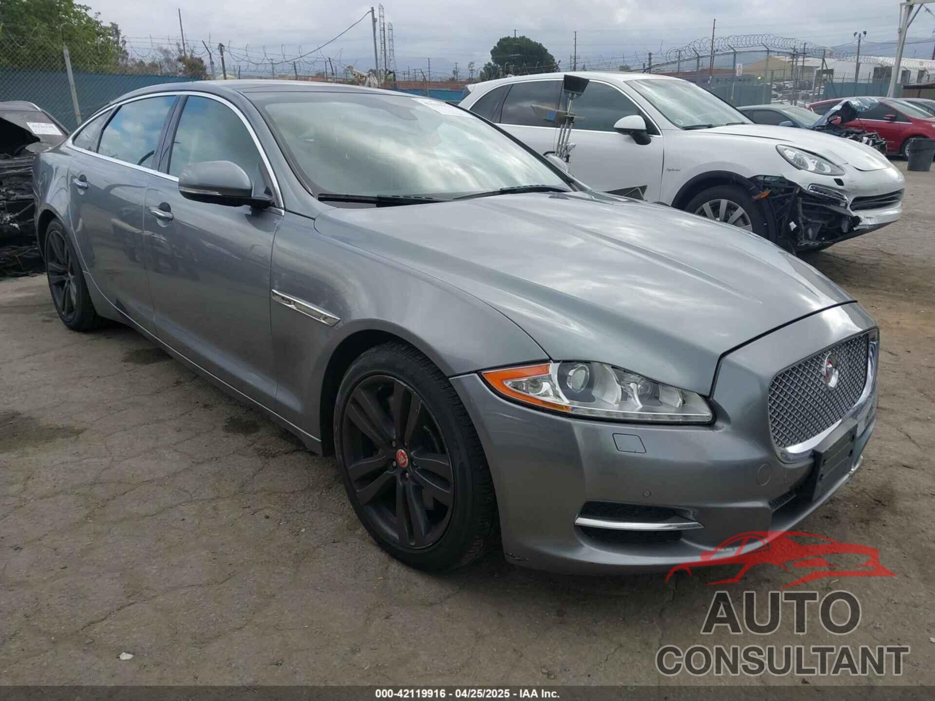 JAGUAR XJ 2014 - SAJWJ2GD8E8V64517