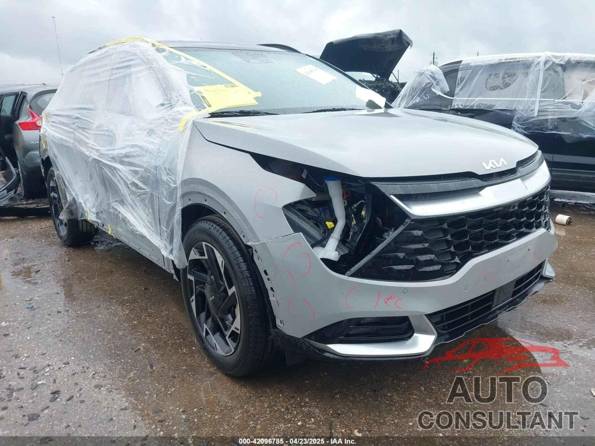 KIA SPORTAGE 2024 - 5XYK53DFXRG174997
