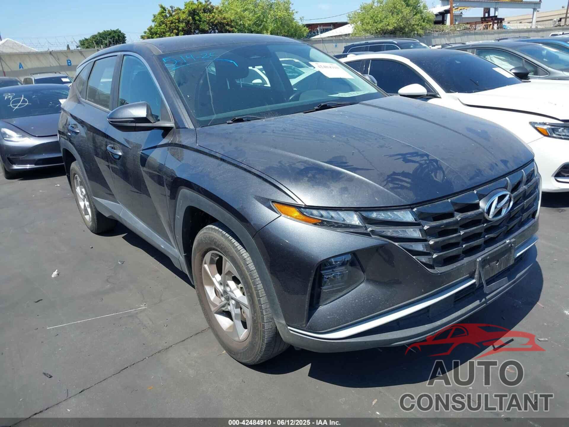 HYUNDAI TUCSON 2022 - 5NMJACAEXNH146958