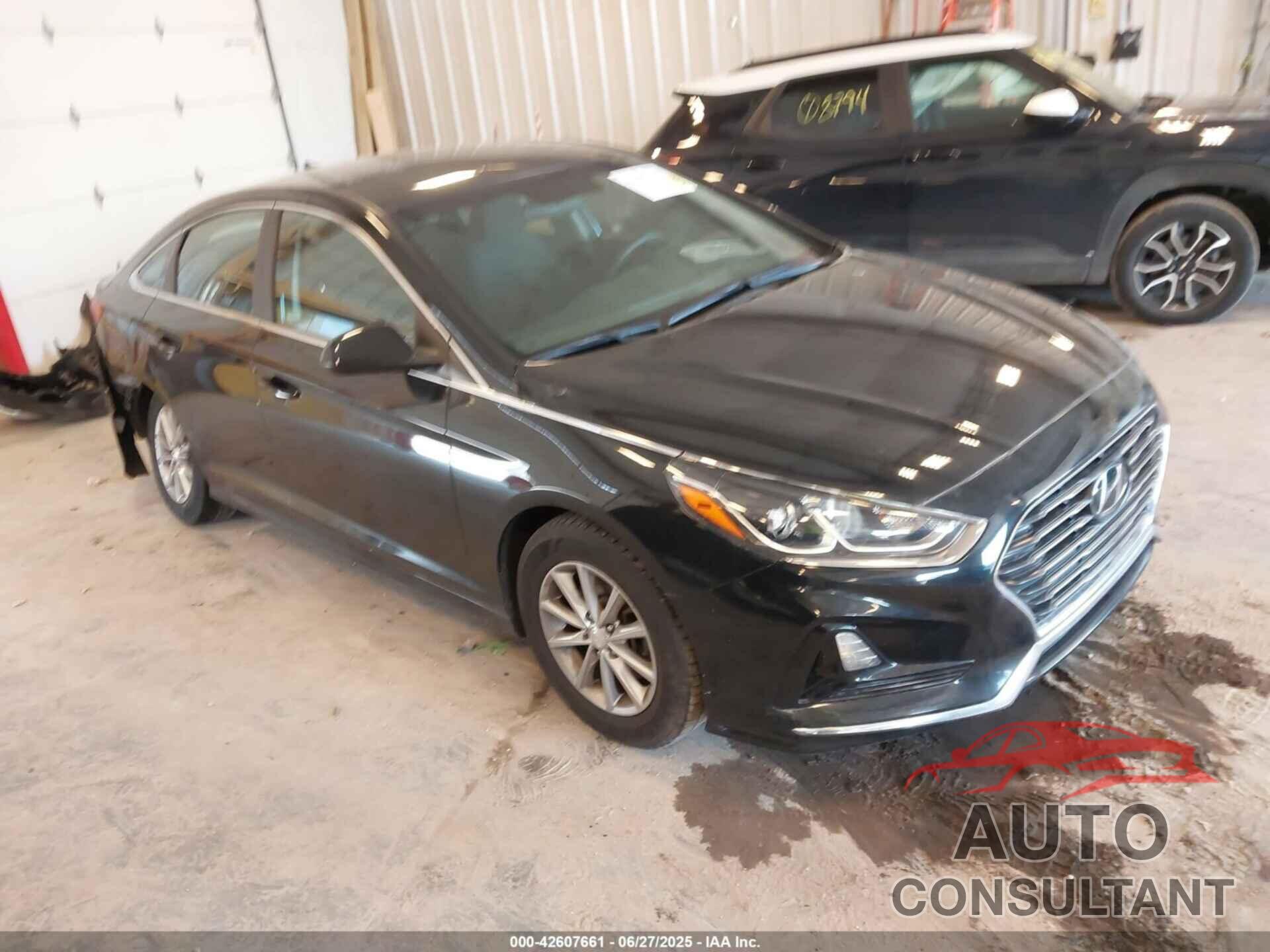 HYUNDAI SONATA 2019 - 5NPE24AF1KH736025