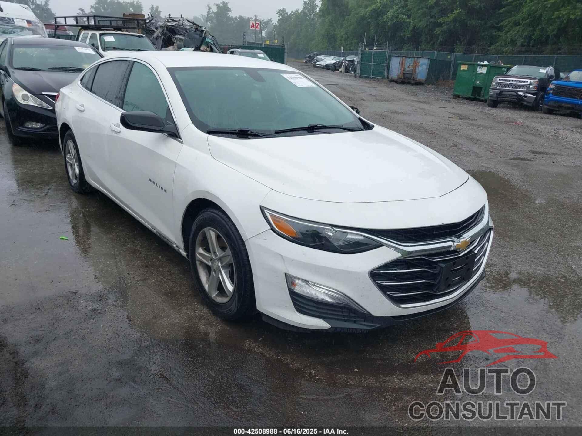 CHEVROLET MALIBU 2019 - 1G1ZB5ST6KF207152