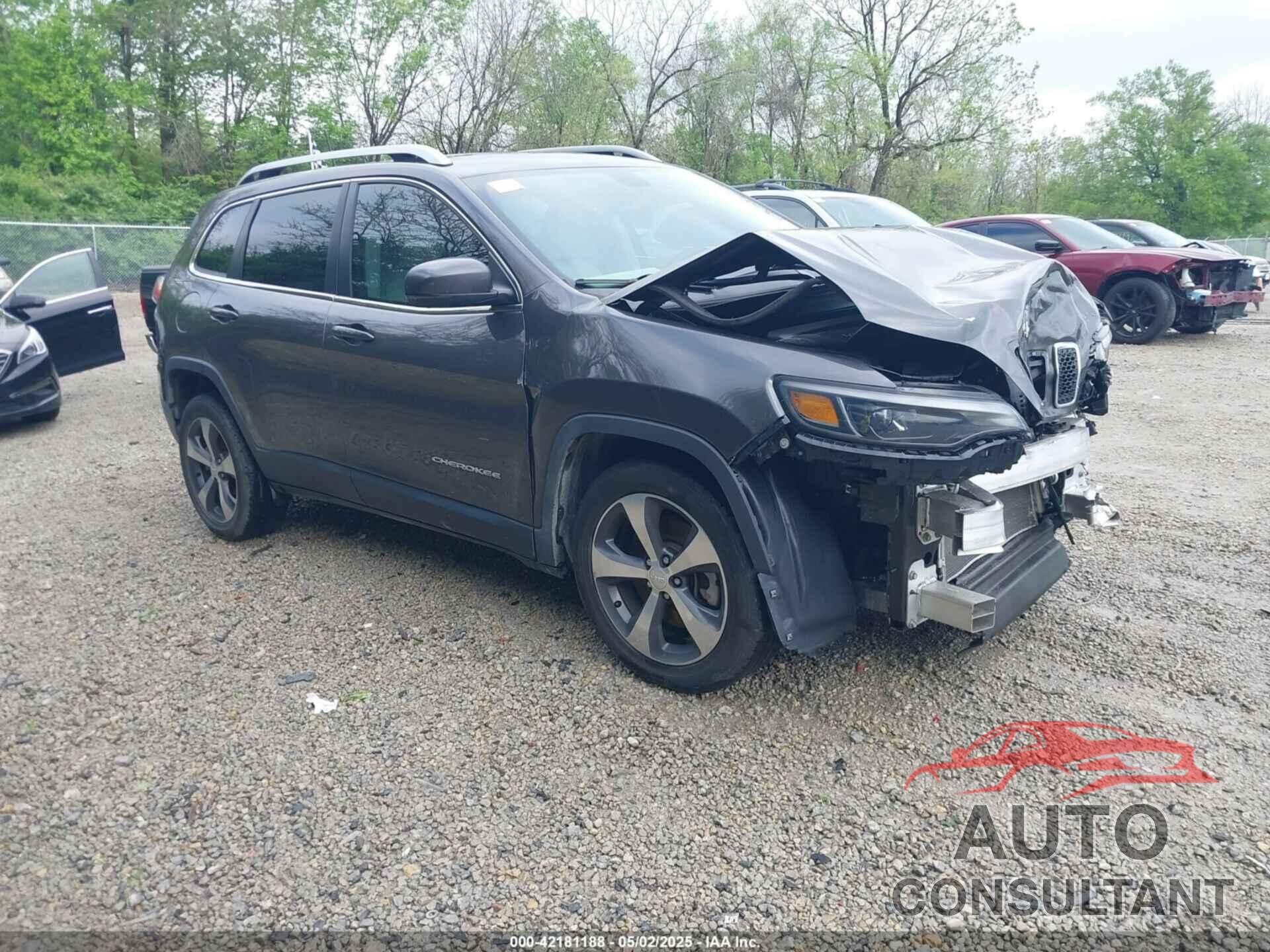 JEEP CHEROKEE 2019 - 1C4PJLDB8KD144495