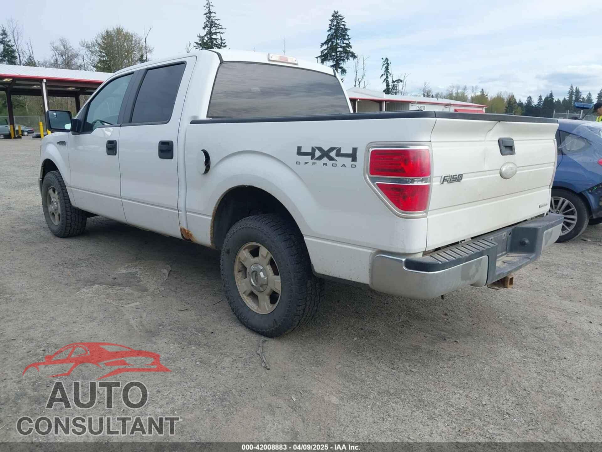 FORD F-150 2011 - 1FTFW1EF1BFC77879