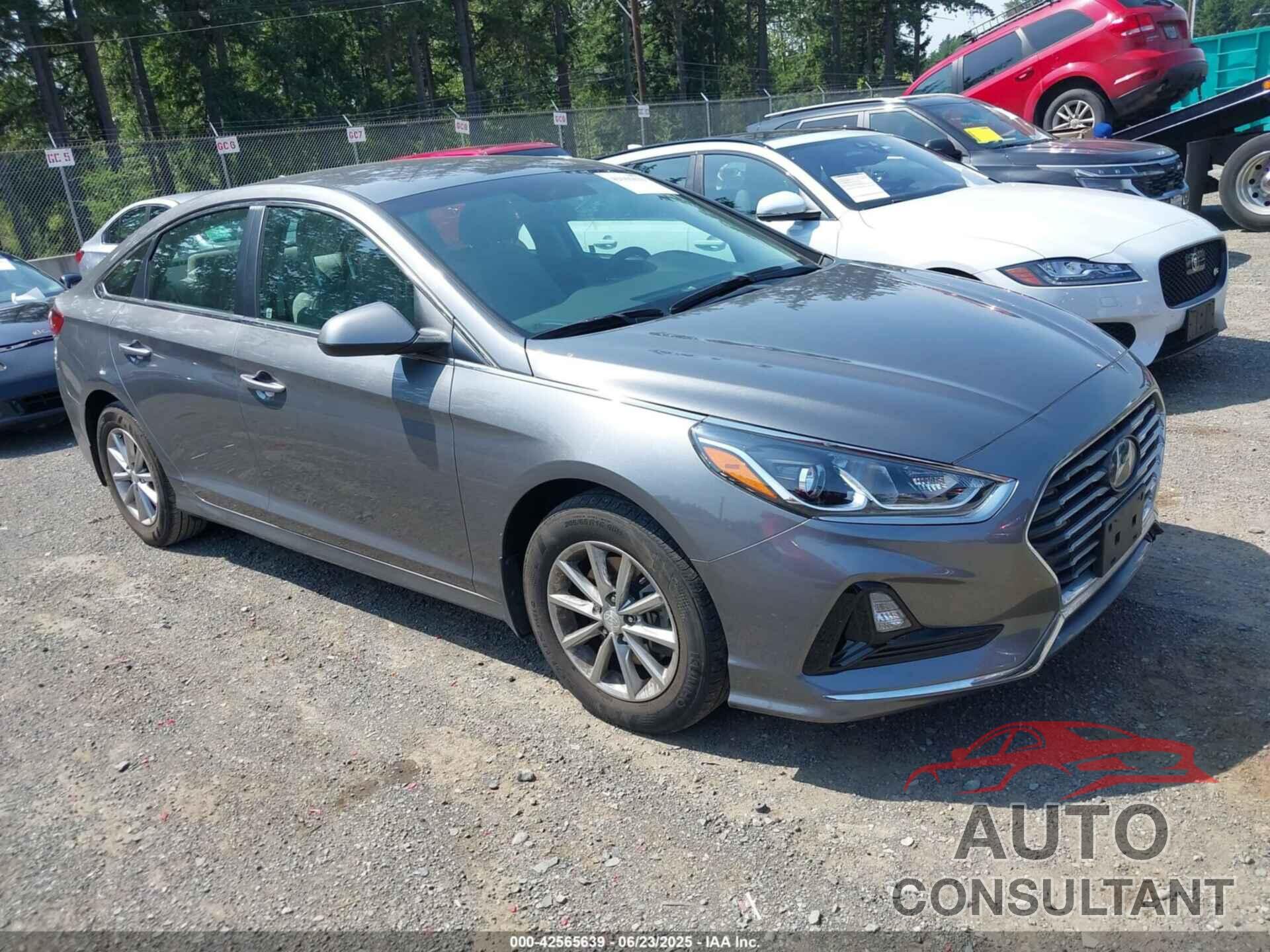 HYUNDAI SONATA 2019 - 5NPE24AF0KH813984