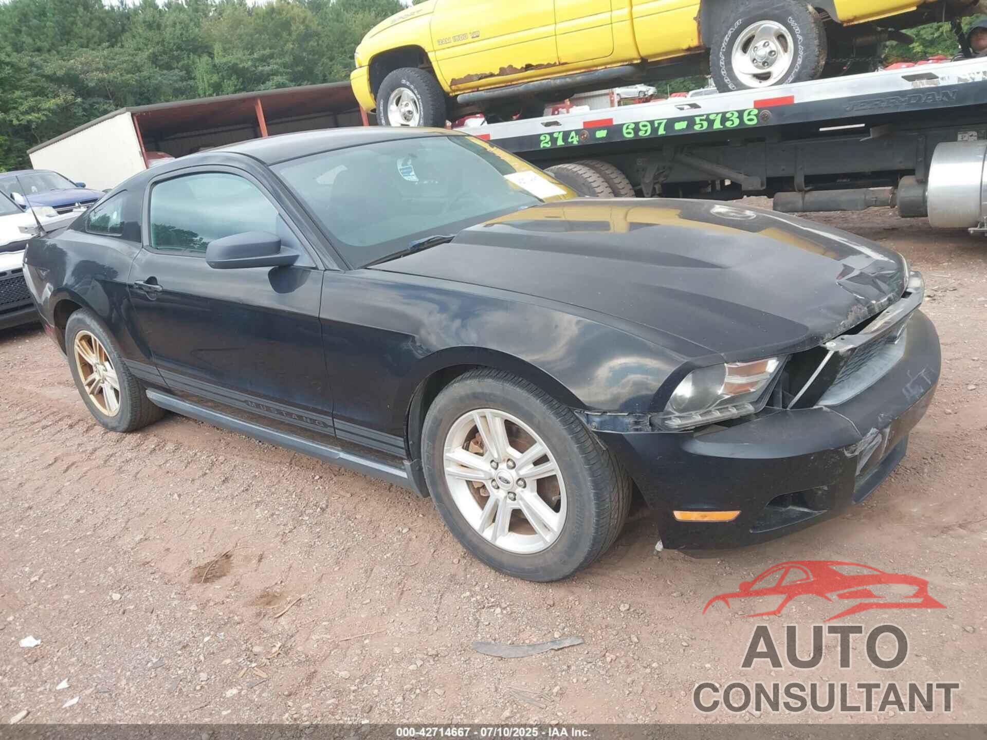 FORD MUSTANG 2012 - 1ZVBP8AM6C5233888