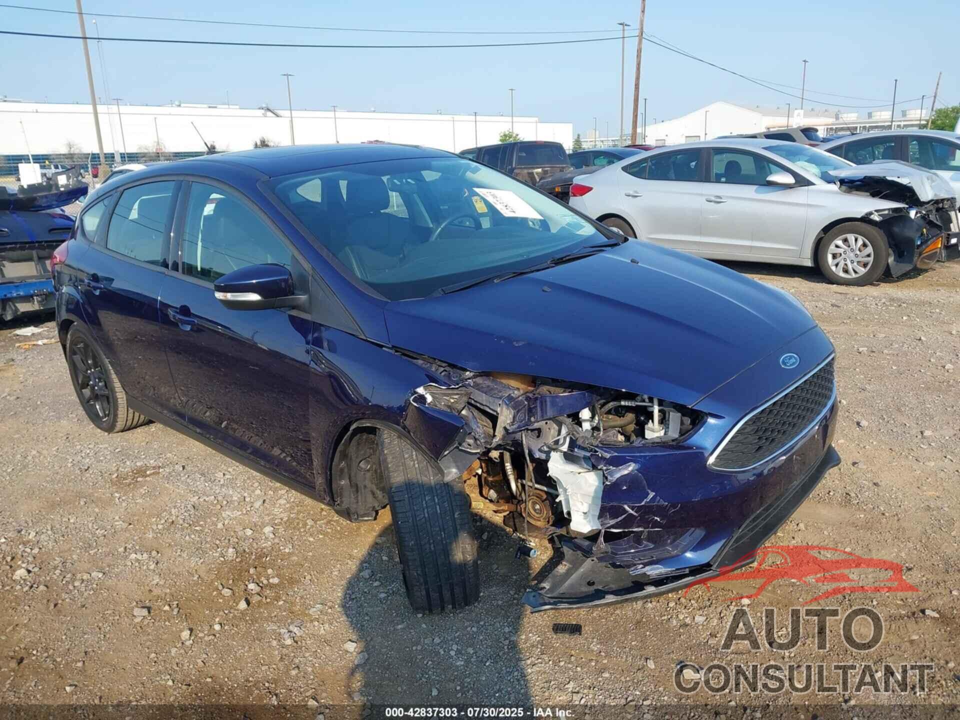 FORD FOCUS 2016 - 1FADP3K20GL326487