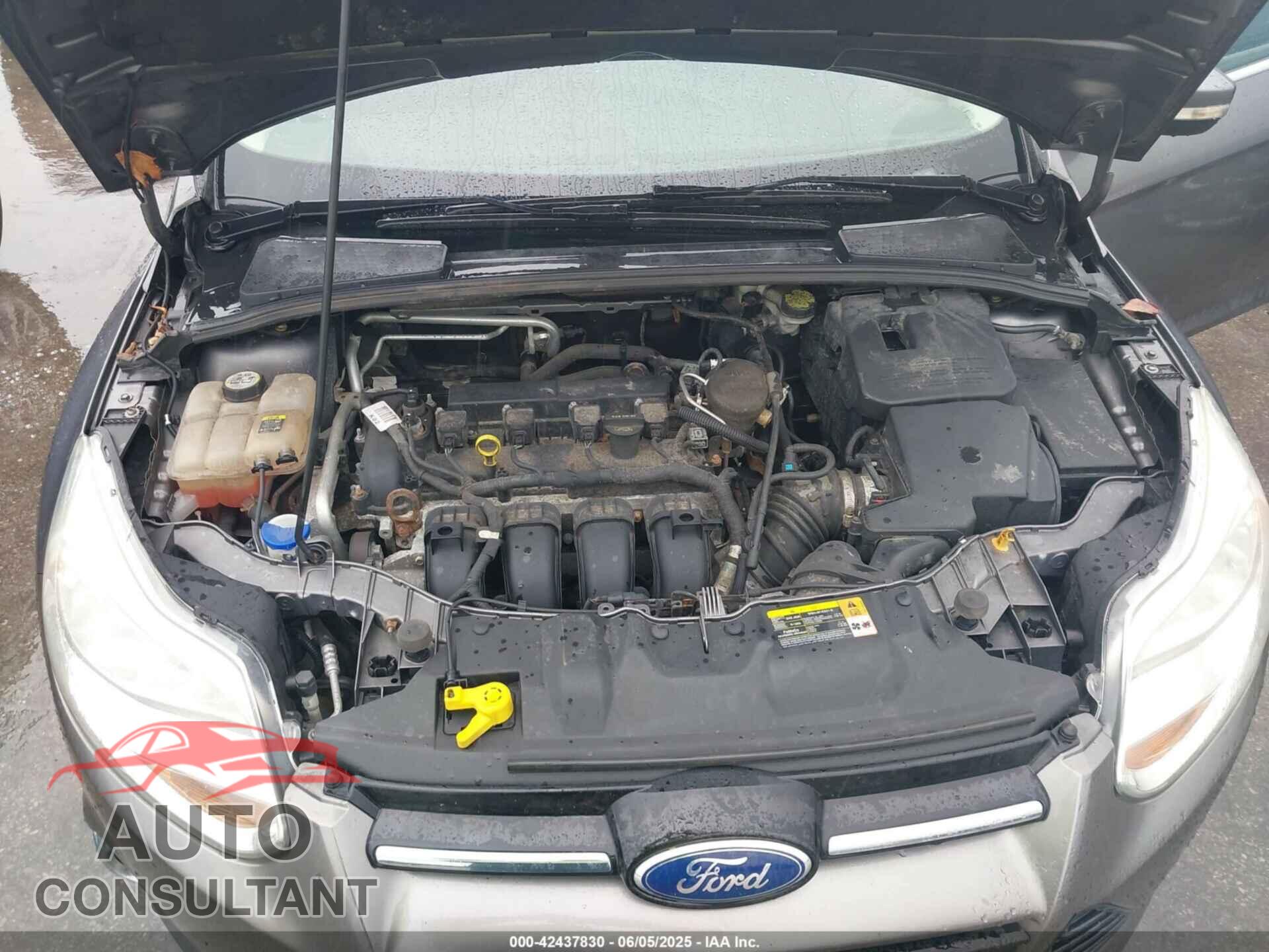 FORD FOCUS 2012 - 1FAHP3H24CL142091