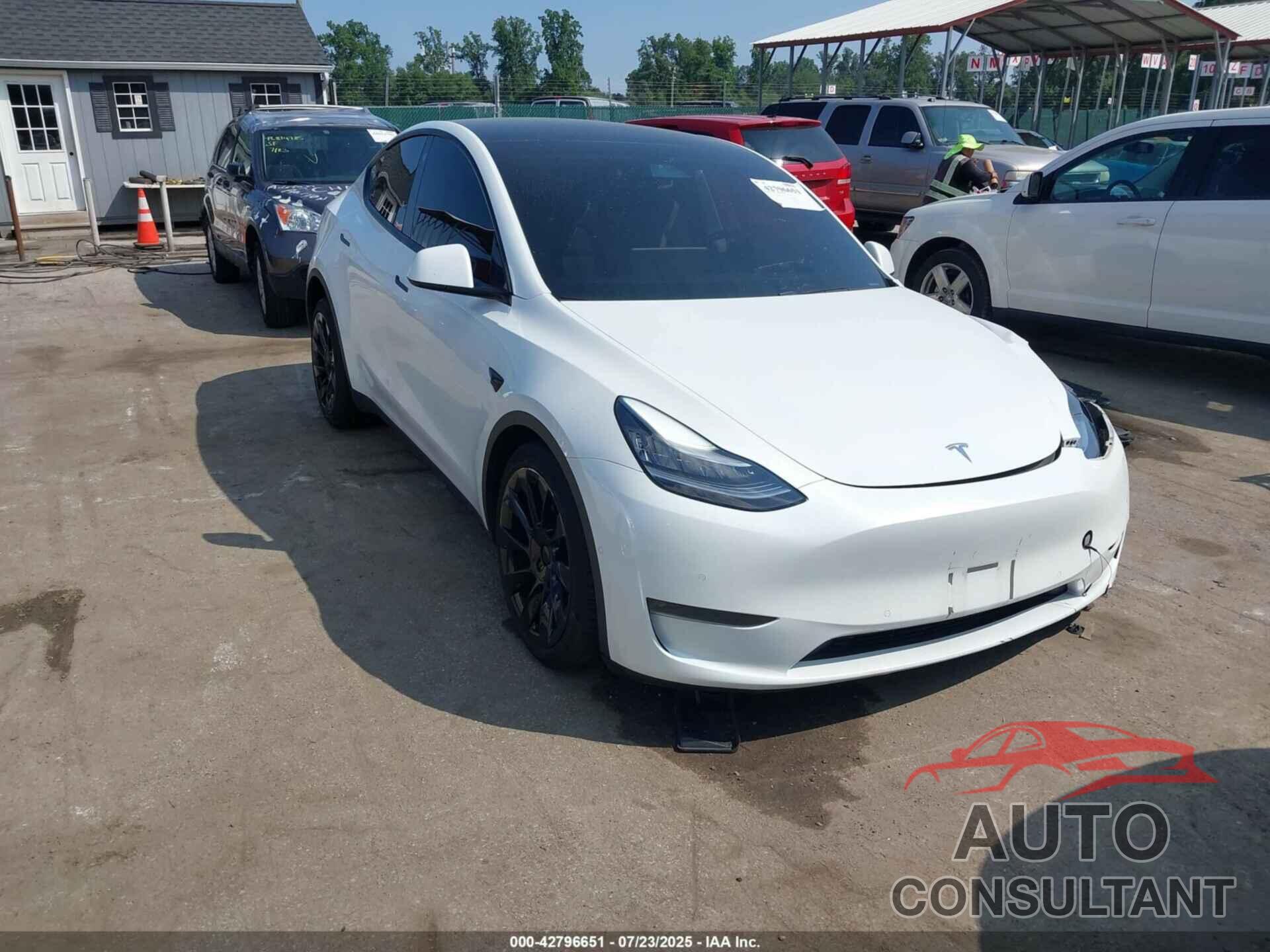 TESLA MODEL Y 2021 - 5YJYGDEE3MF087815