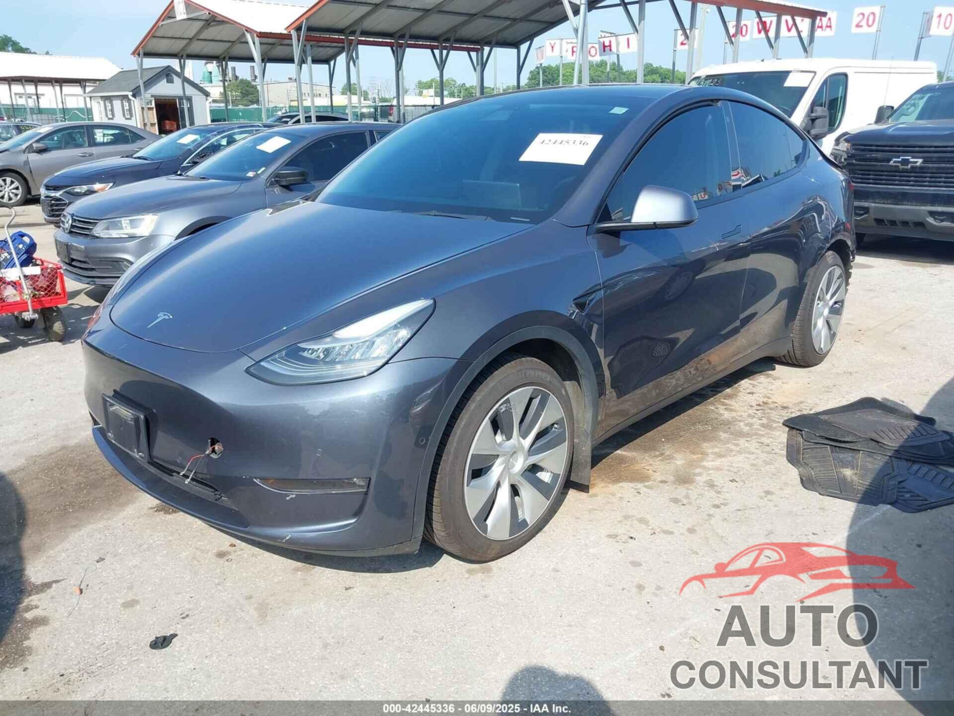 TESLA MODEL Y 2021 - 5YJYGAEE7MF146315