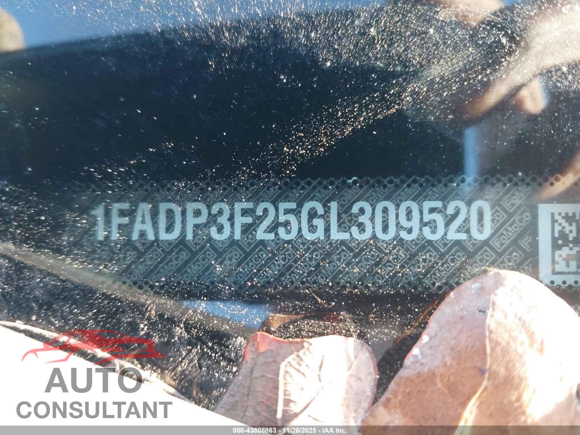 FORD FOCUS 2016 - 1FADP3F25GL309520