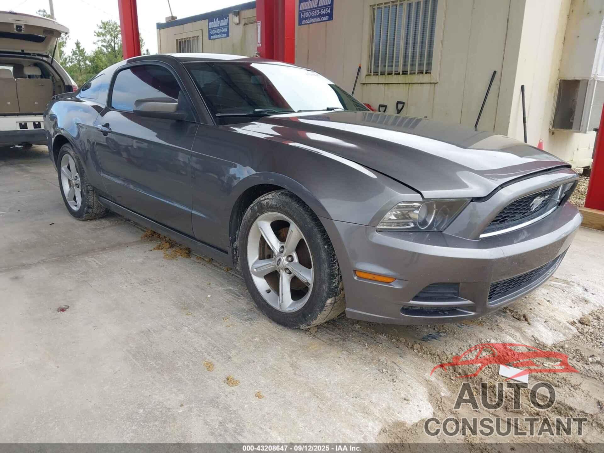 FORD MUSTANG 2013 - 1ZVBP8AM1D5260370