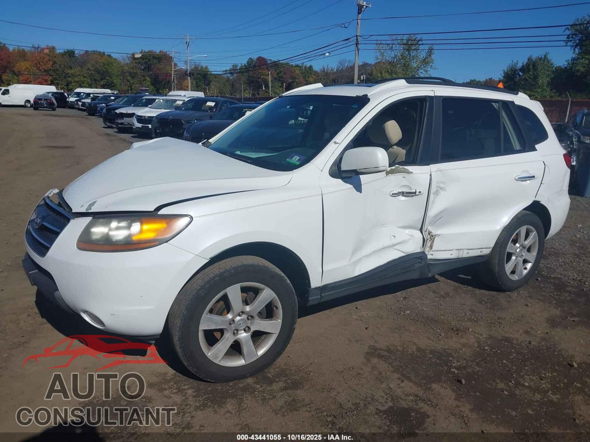 HYUNDAI SANTA FE 2009 - 5NMSH13E69H257496