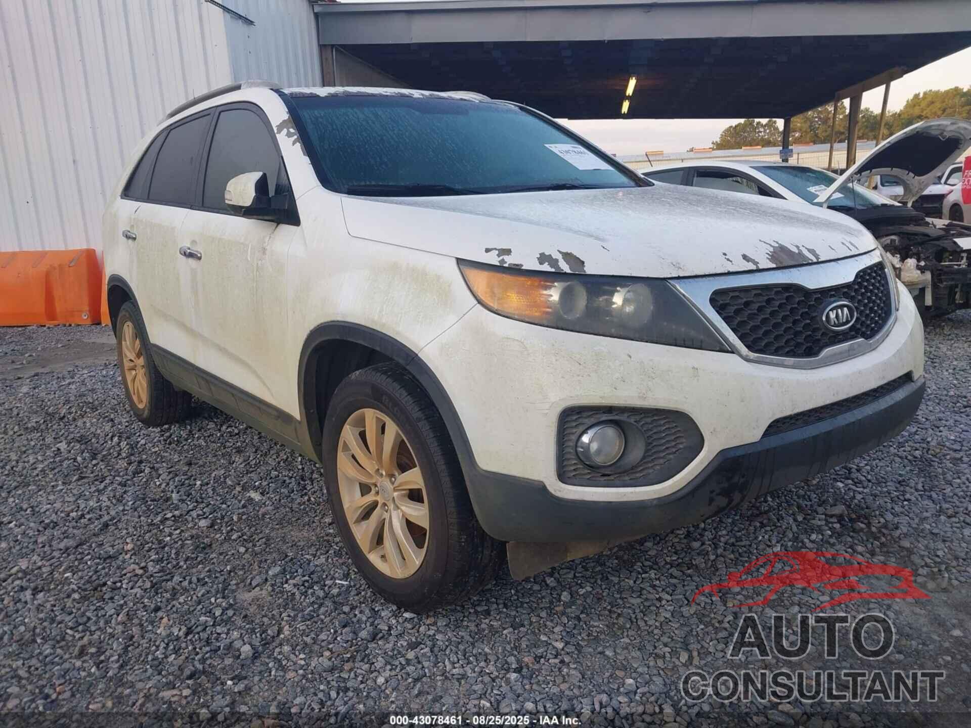 KIA SORENTO 2011 - 5XYKT4A22BG085900