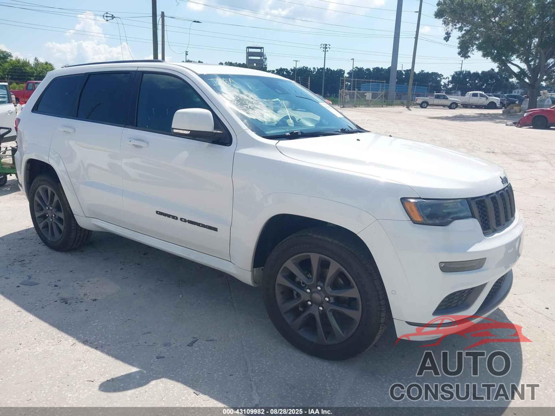JEEP GRAND CHEROKEE 2019 - 1C4RJECG6KC826752