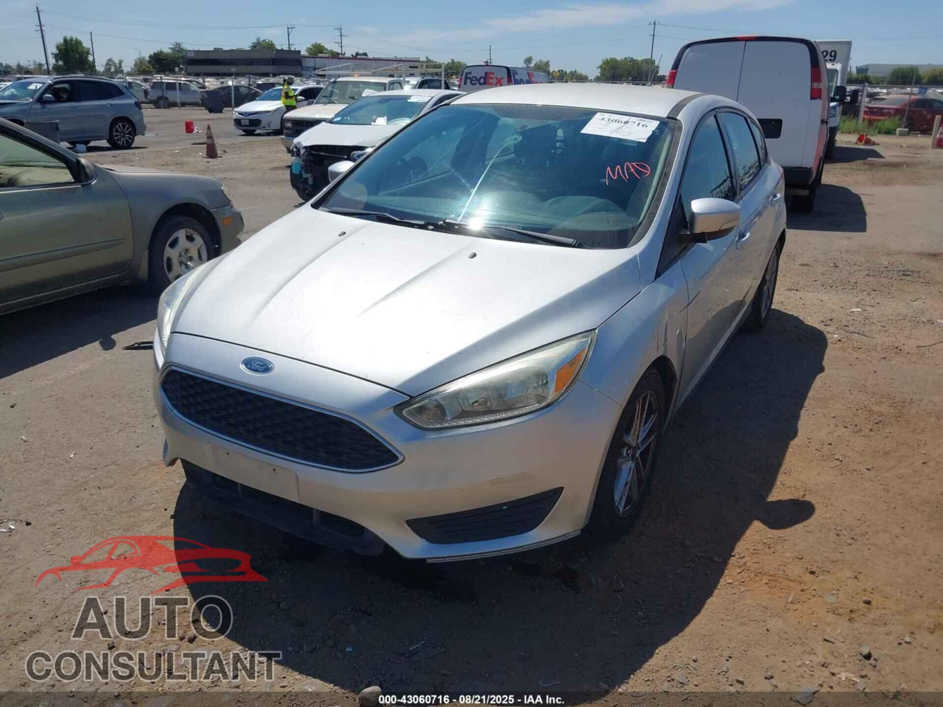 FORD FOCUS 2016 - 1FADP3K23GL344983