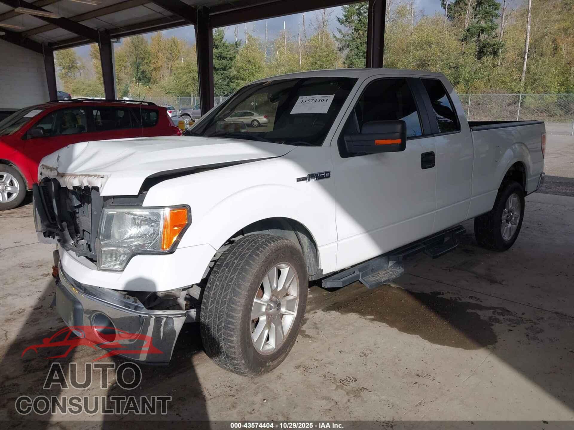 FORD F-150 2011 - 1FTFX1CF3BFA44893