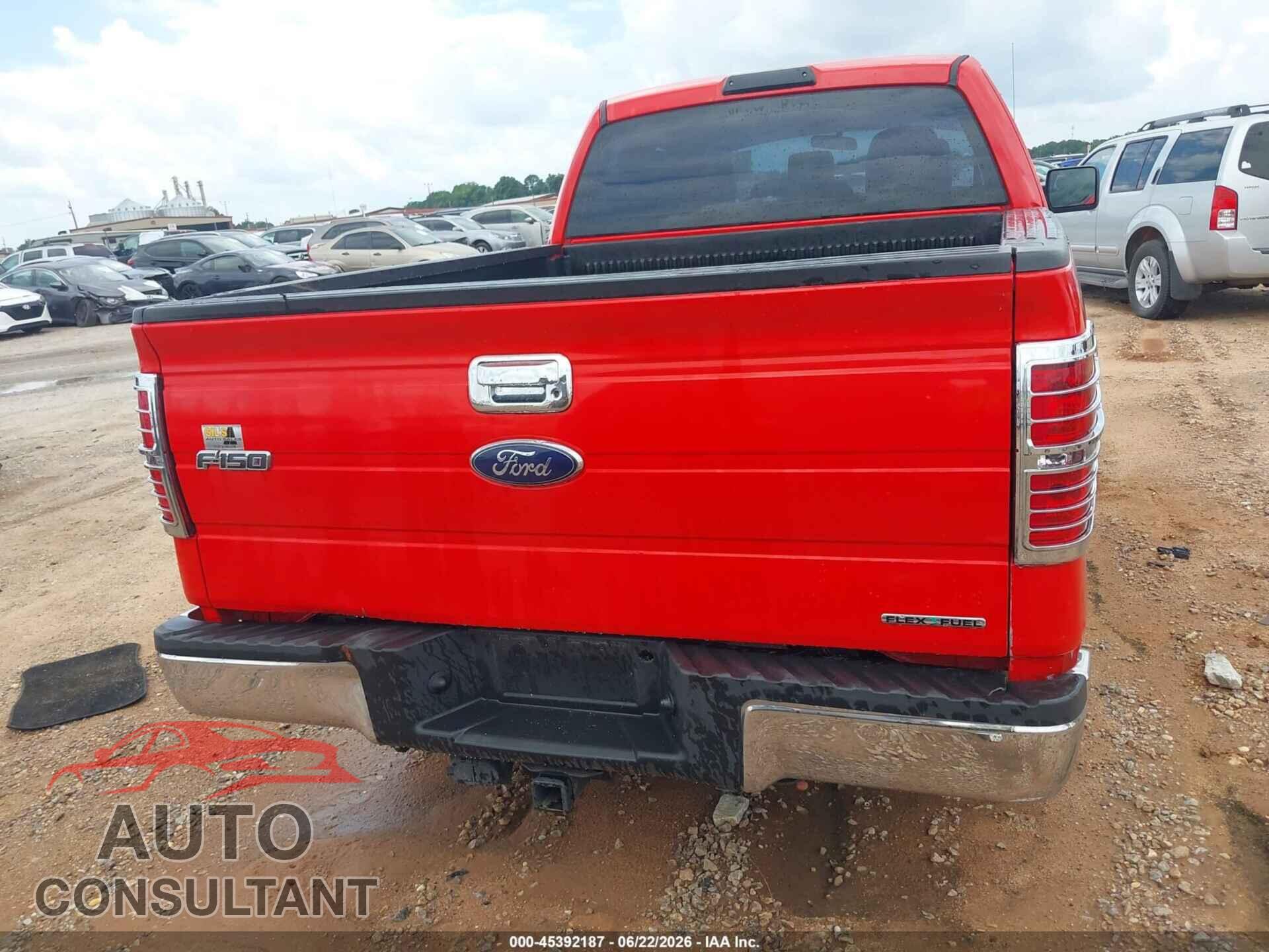 FORD F-150 2013 - 1FTFX1CF9DFD93785