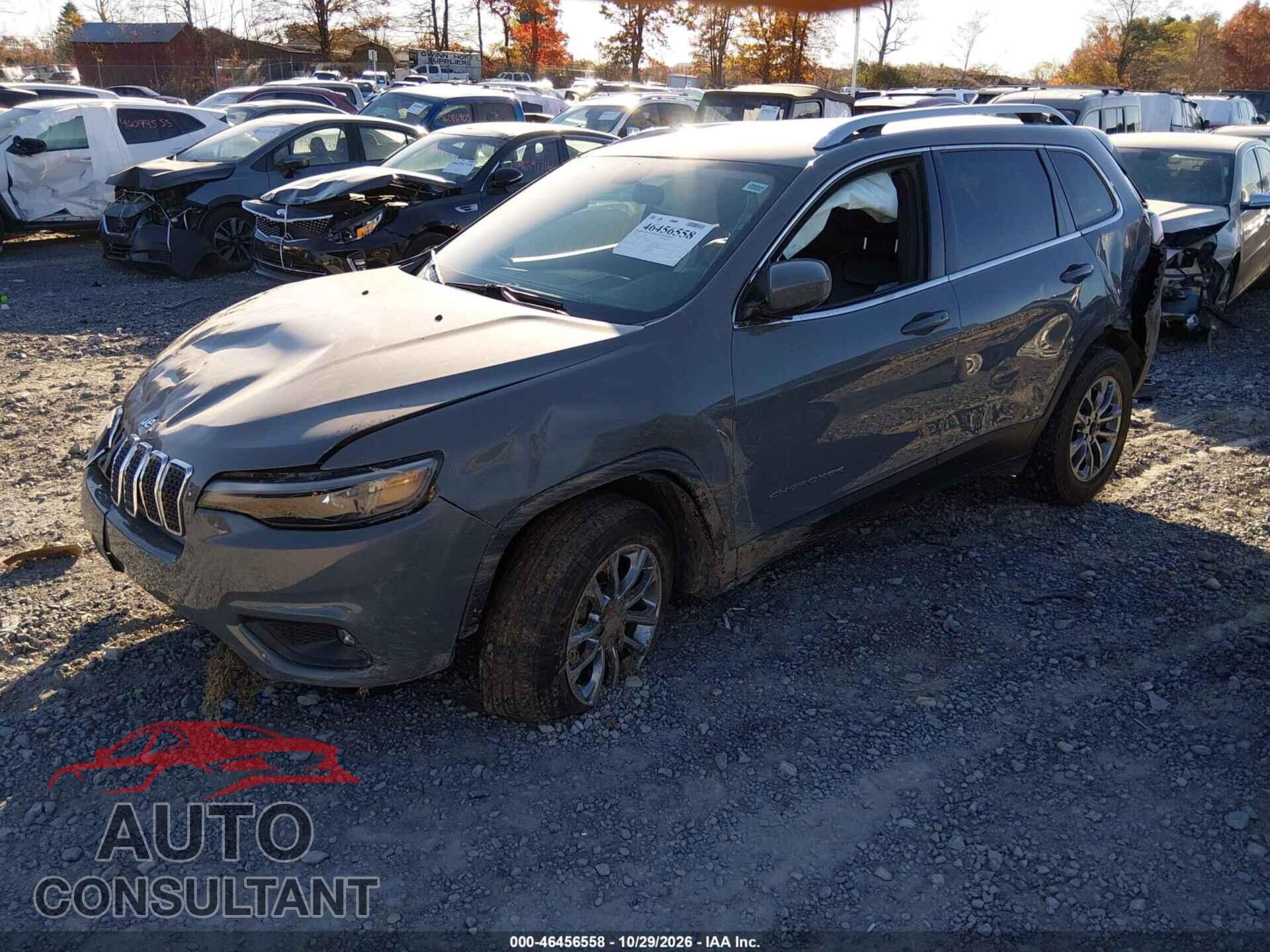 JEEP CHEROKEE 2019 - 1C4PJMLX8KD413596