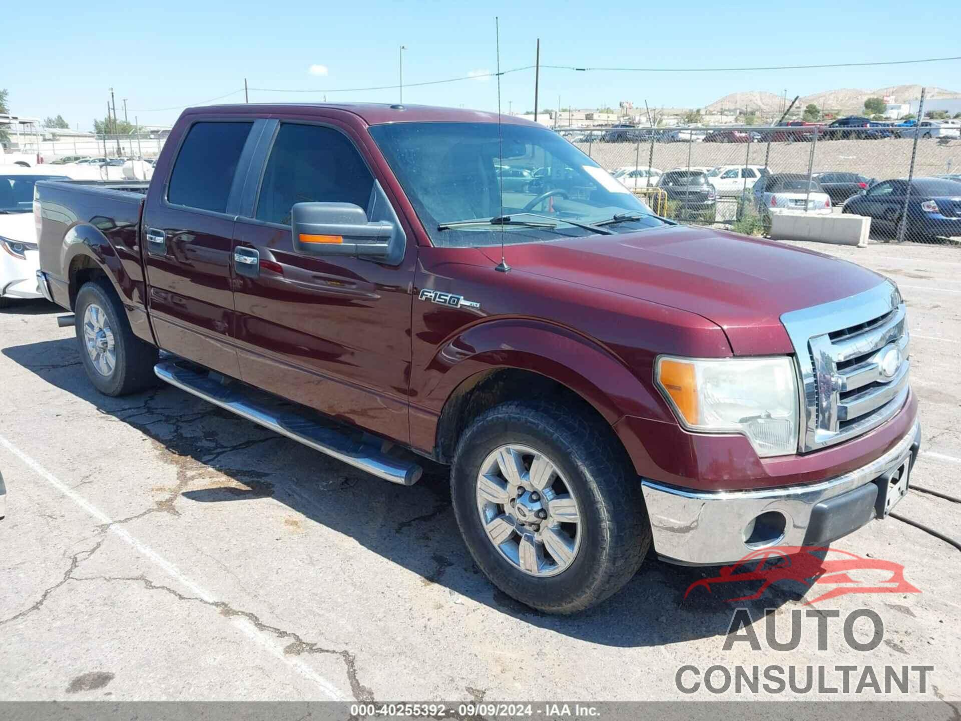 FORD F-150 2009 - 1FTRW12899KC75883