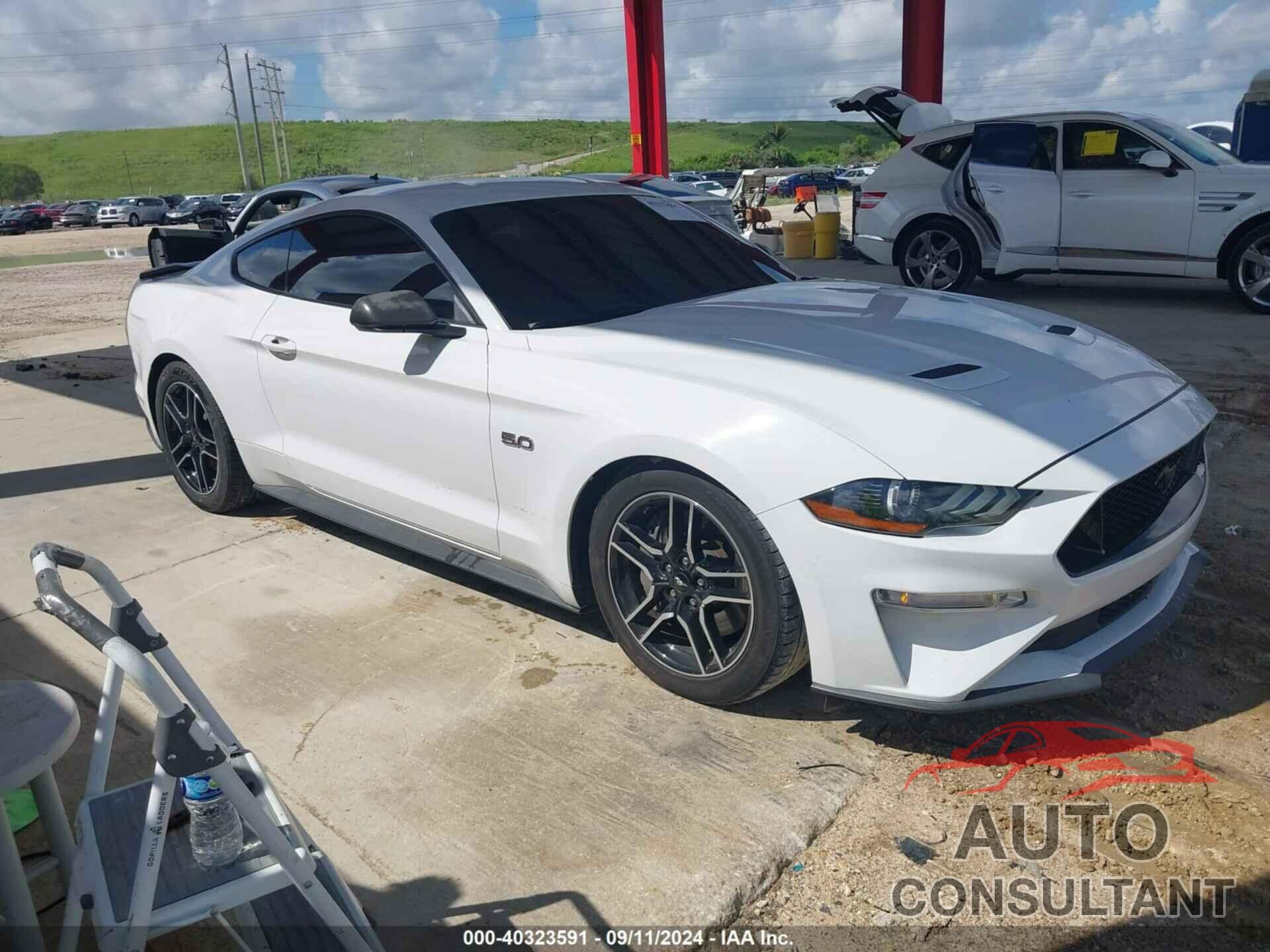 FORD MUSTANG 2019 - 1FA6P8CF0K5166423