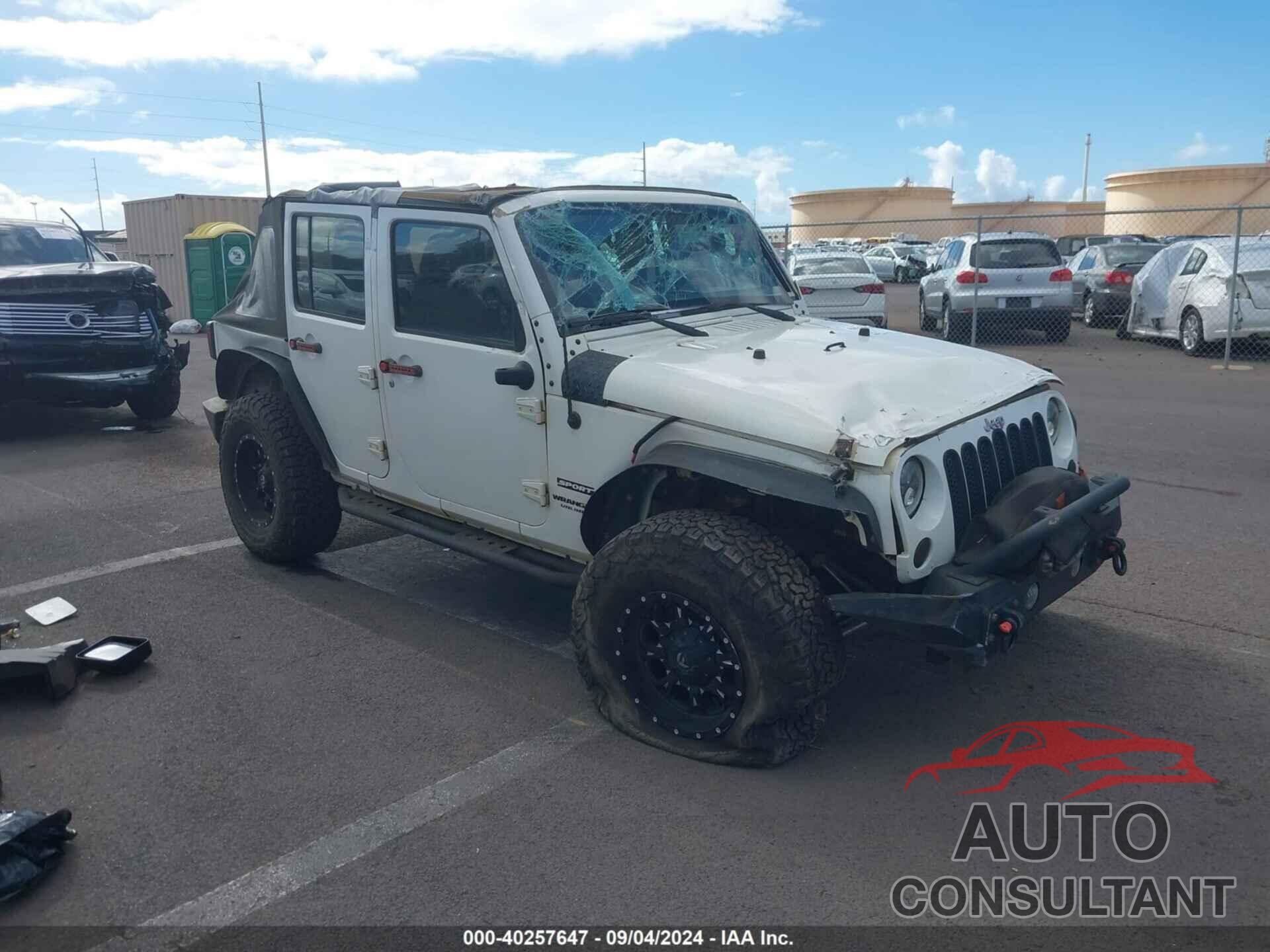 JEEP WRANGLER UNLIMITED 2017 - 1C4BJWDG1HL542444