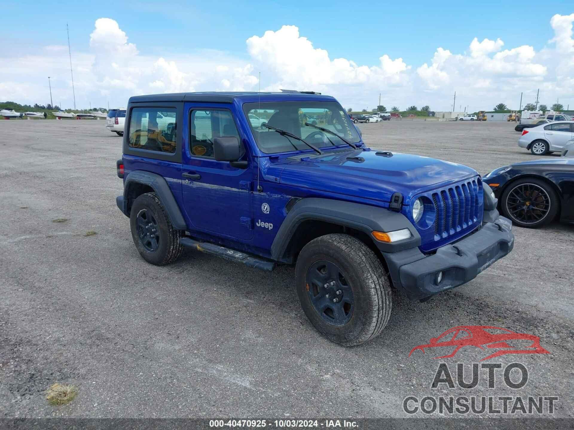 JEEP WRANGLER 2019 - 1C4GJXAG7KW541918