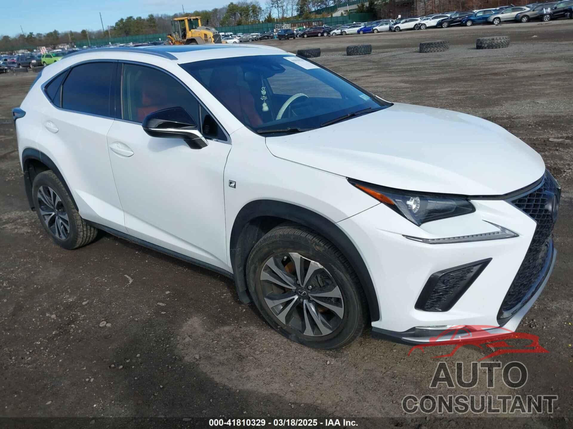LEXUS NX 300 2019 - JTJBARBZ3K2193240