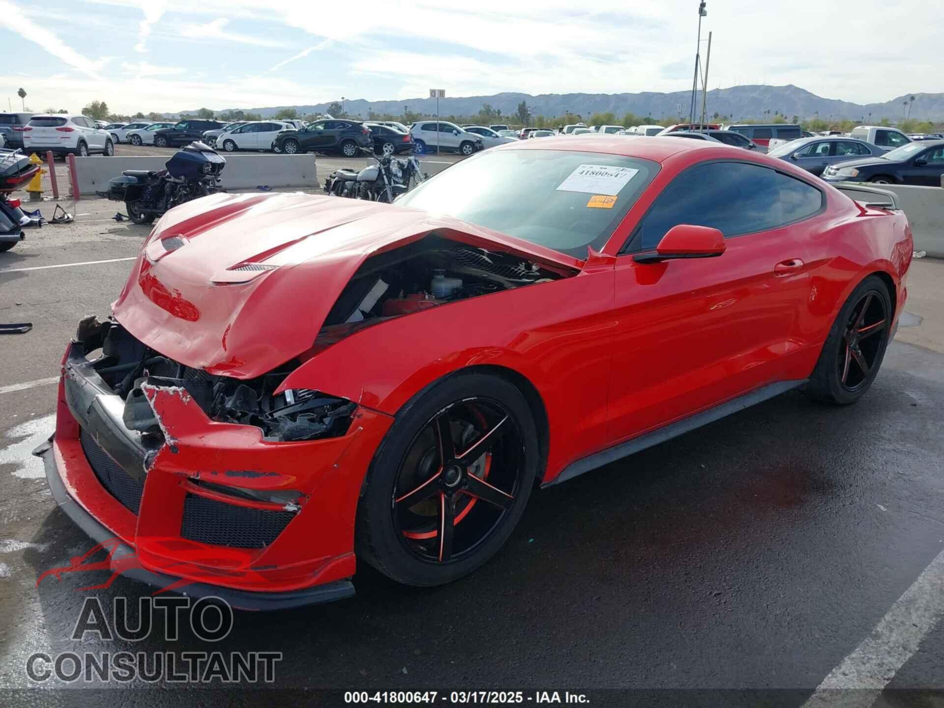 FORD MUSTANG 2019 - 1FA6P8THXK5196692