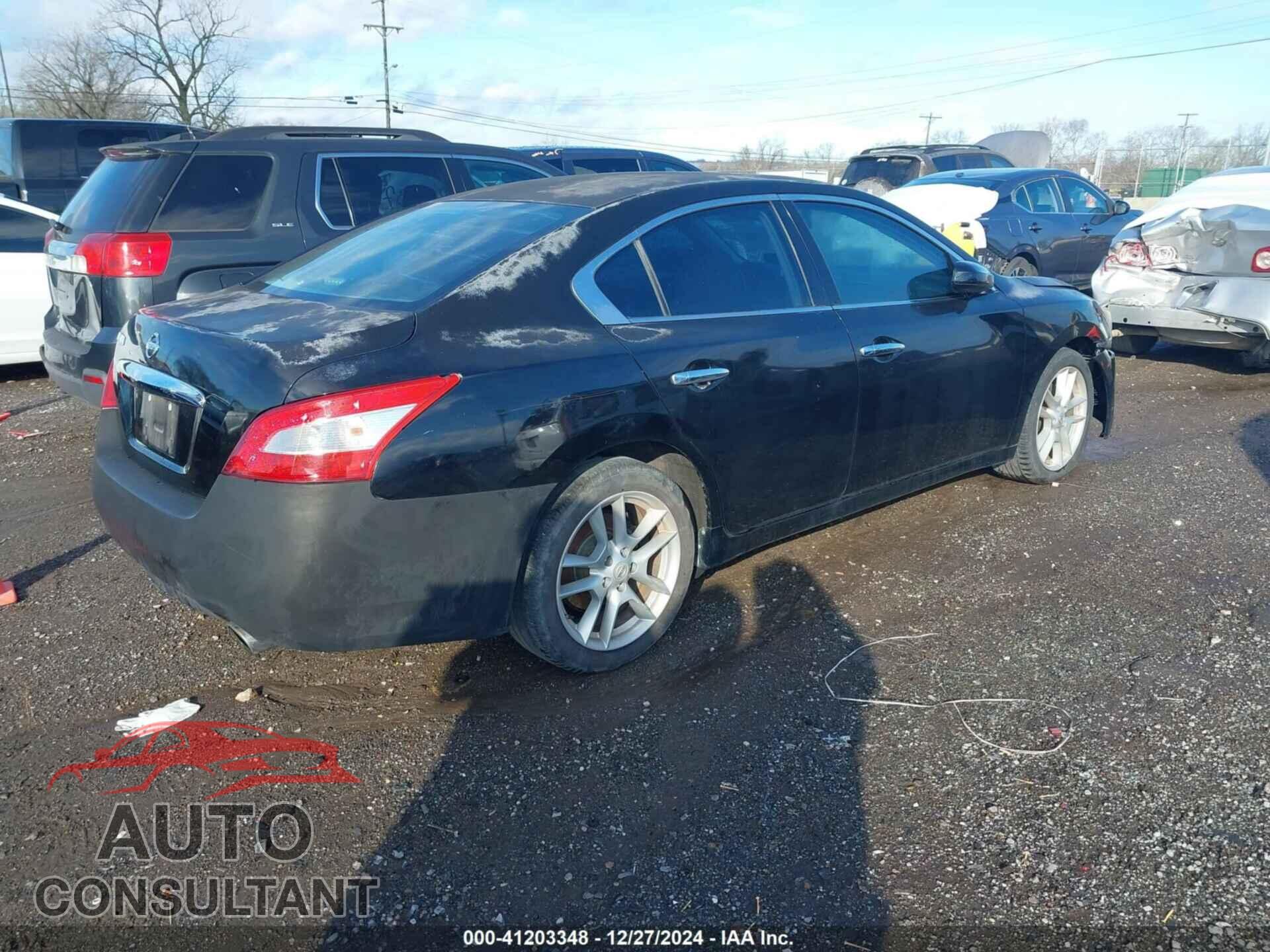 NISSAN MAXIMA 2011 - 1N4AA5AP7BC811229