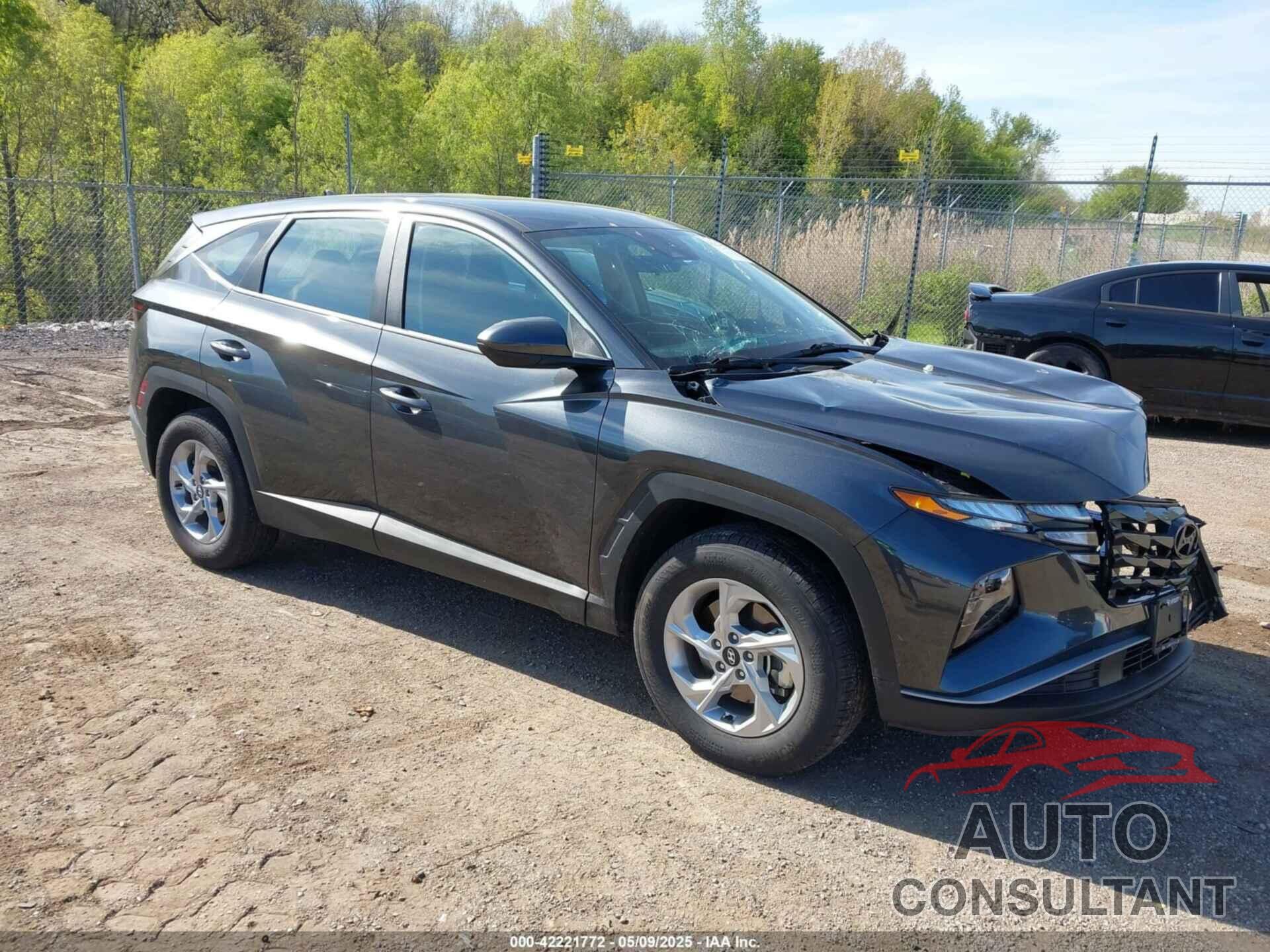 HYUNDAI TUCSON 2024 - 5NMJACDE5RH341433