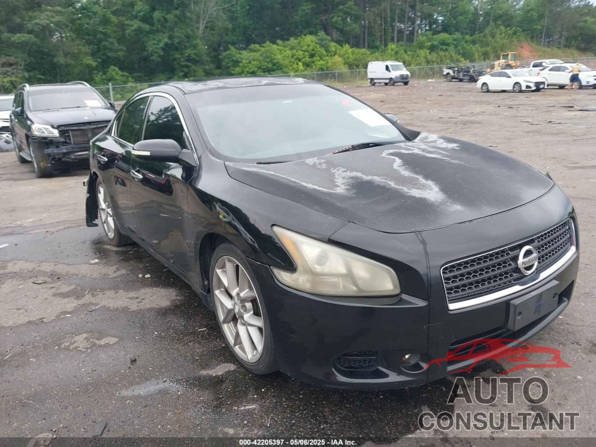 NISSAN MAXIMA 2011 - 1N4AA5AP8BC842148