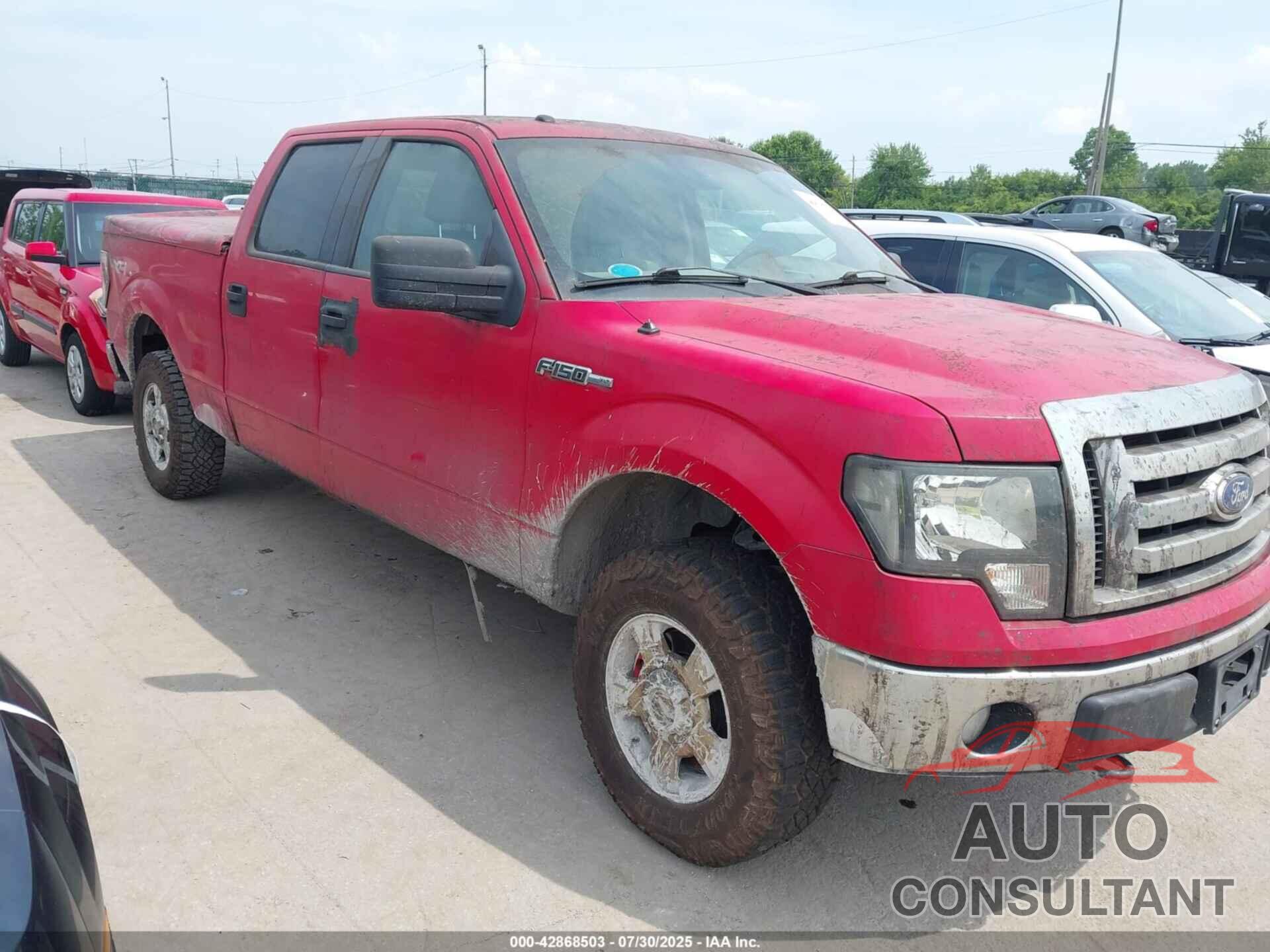FORD F150 2010 - 1FTFW1EV8AFD44953