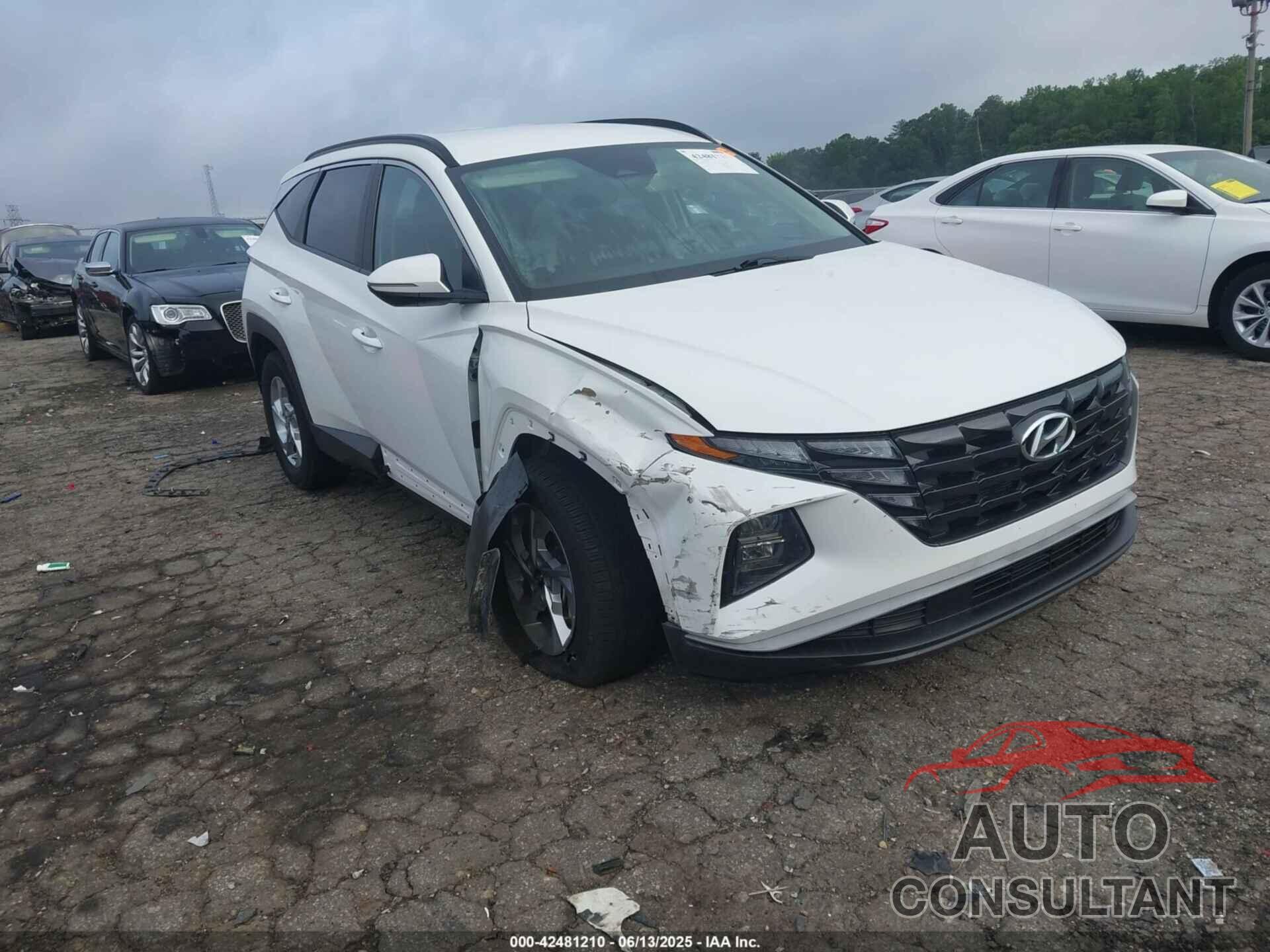 HYUNDAI TUCSON 2023 - 5NMJBCAE1PH201717