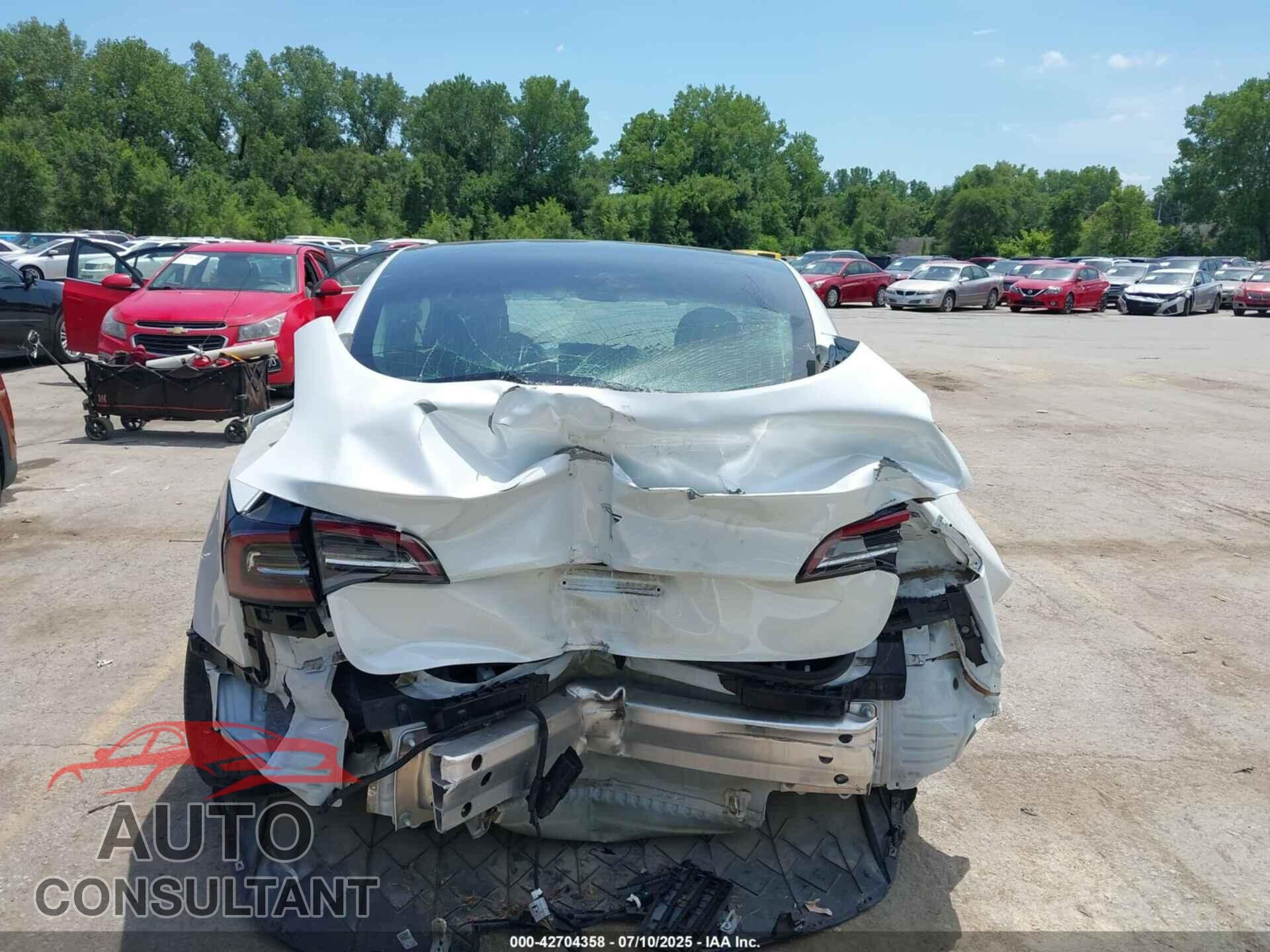 TESLA MODEL 3 2020 - 5YJ3E1EA1LF659264