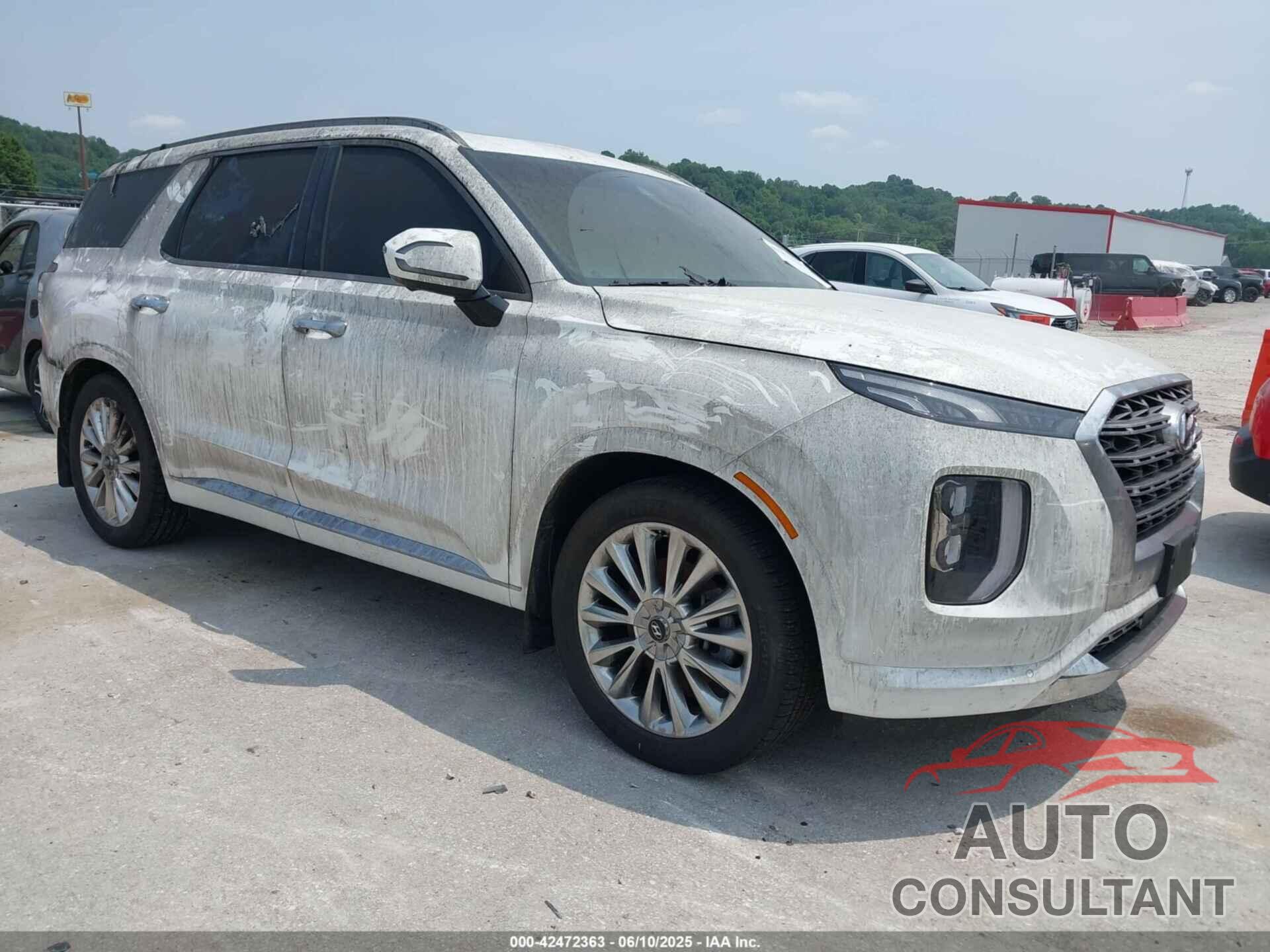 HYUNDAI PALISADE 2020 - KM8R5DHE9LU135812