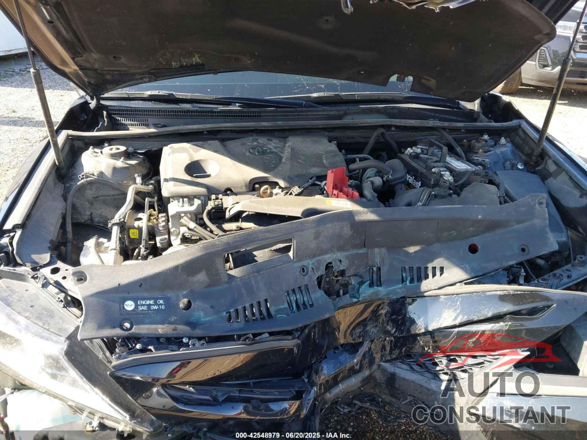 TOYOTA CAMRY 2019 - 4T1B11HK3KU275516