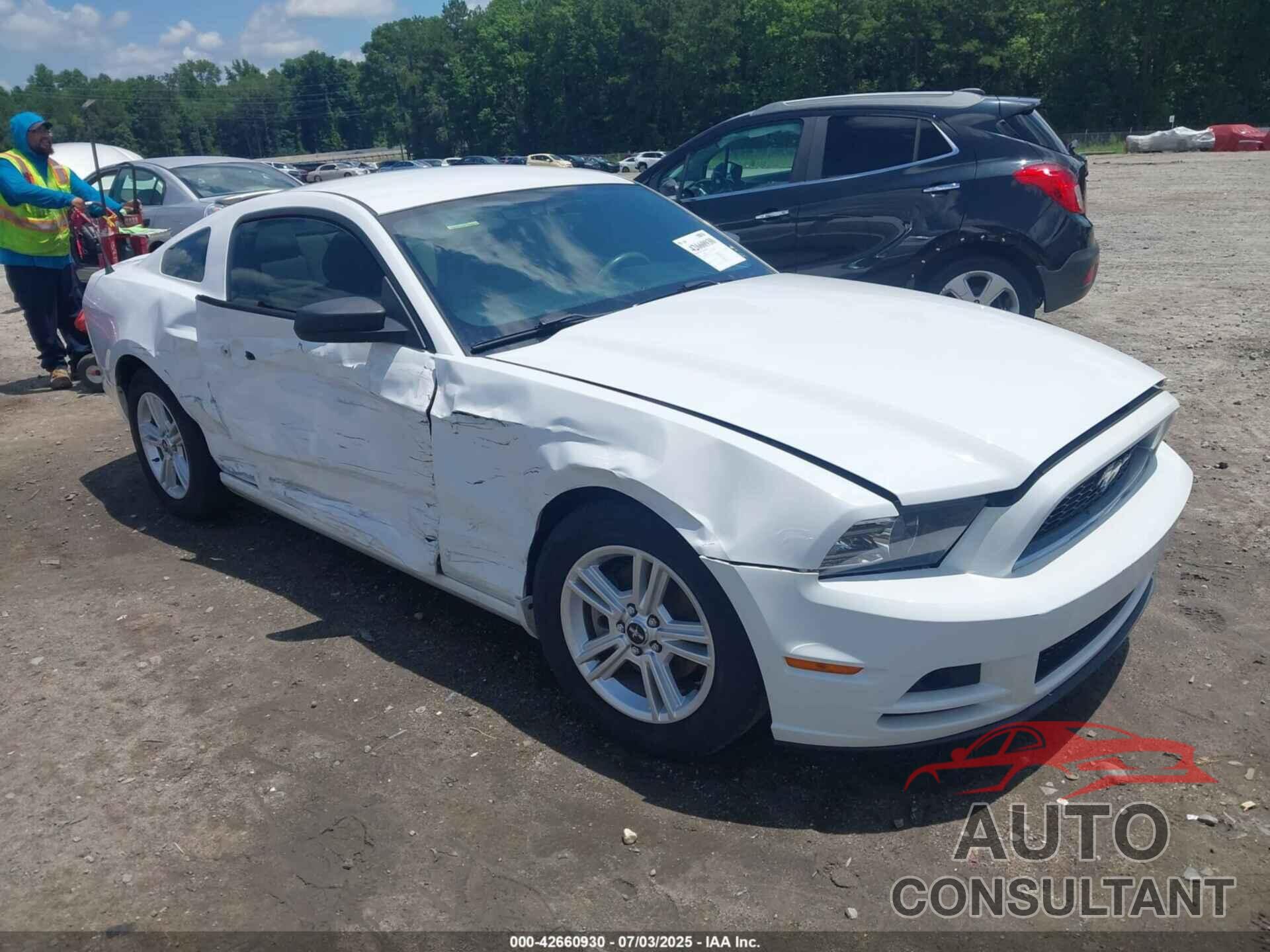 FORD MUSTANG 2014 - 1ZVBP8AM8E5253563