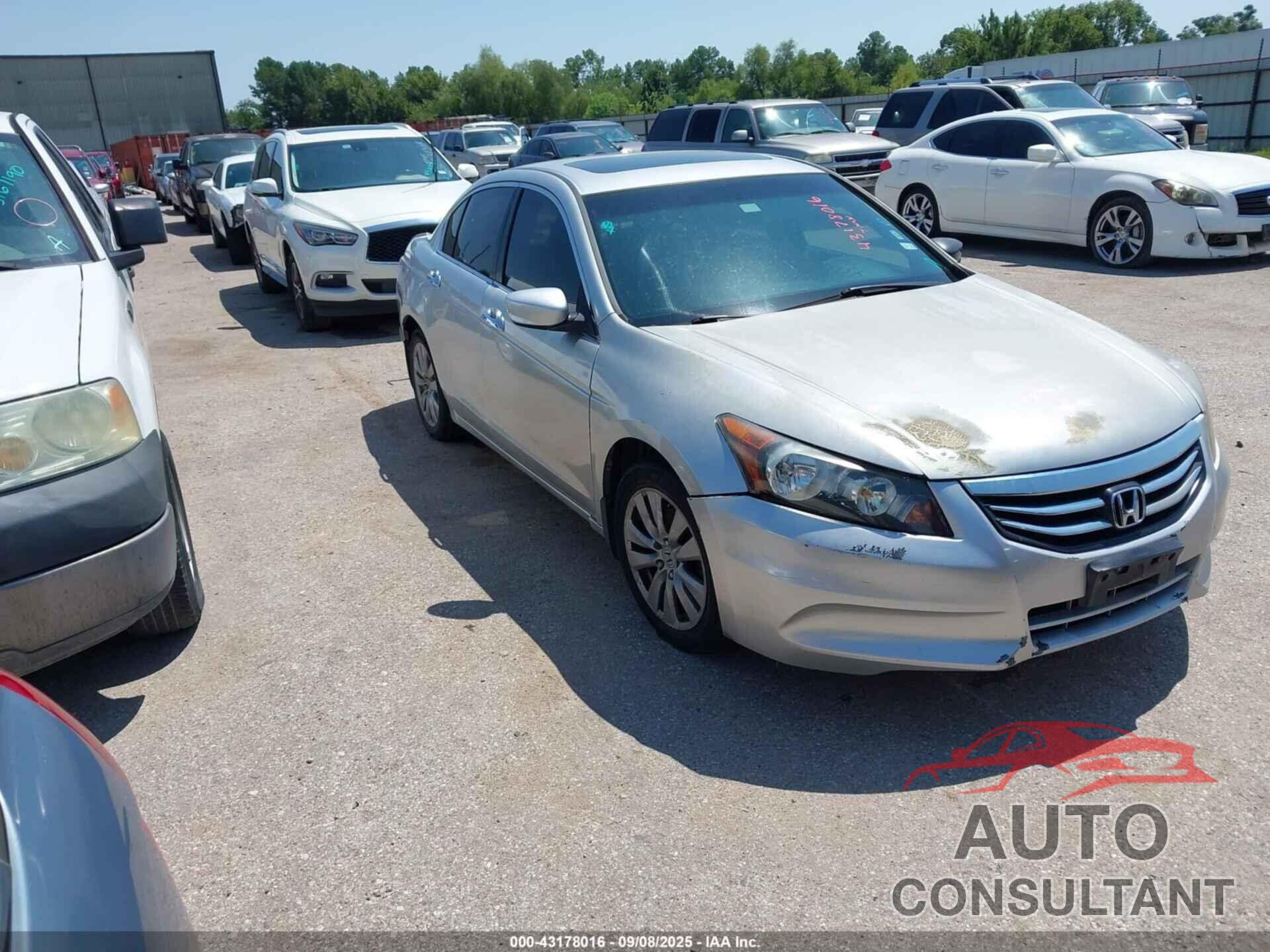 HONDA ACCORD 2012 - 1HGCP3F81CA031491