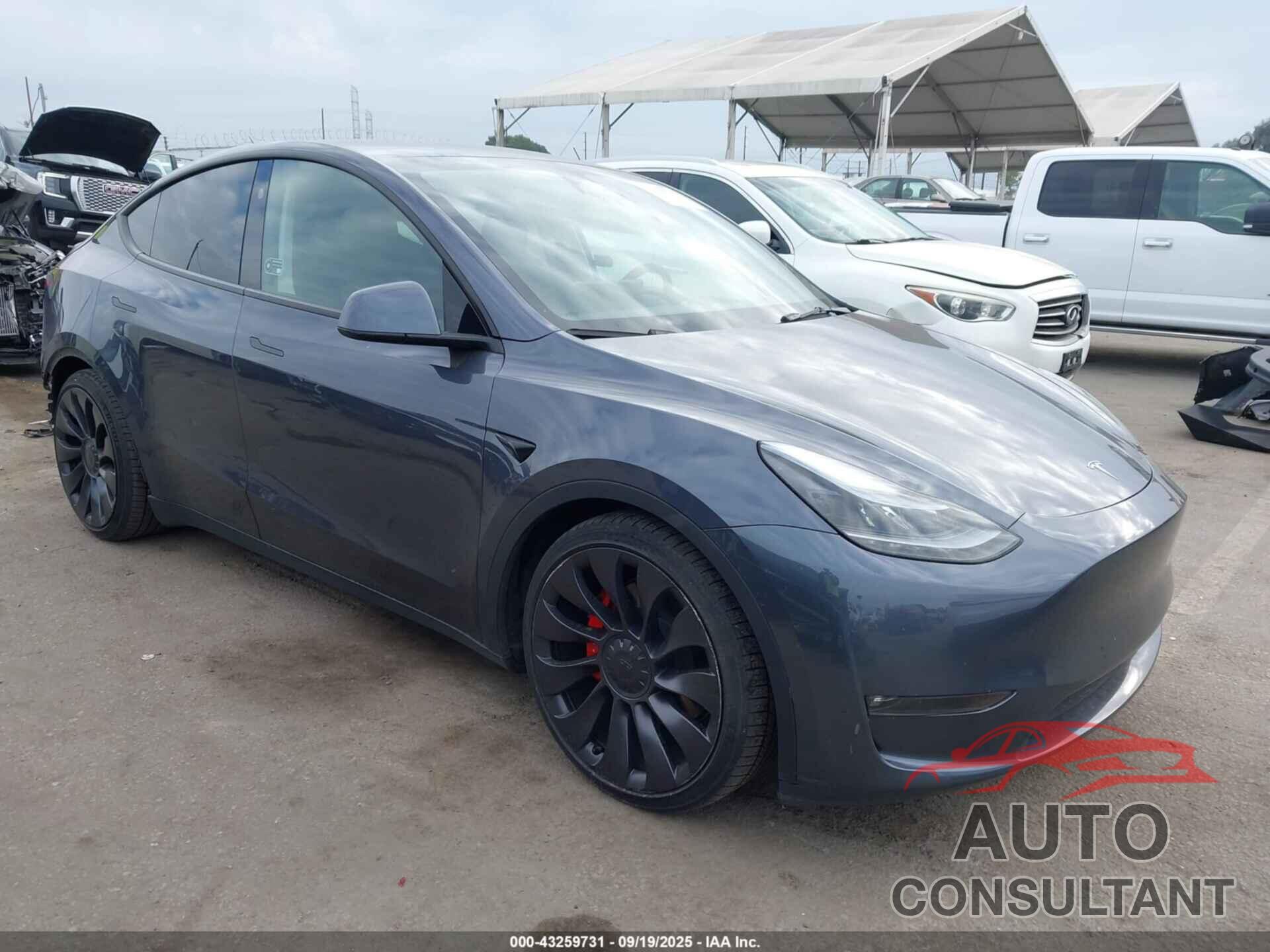 TESLA MODEL Y 2023 - 7SAYGDEF2PF864243