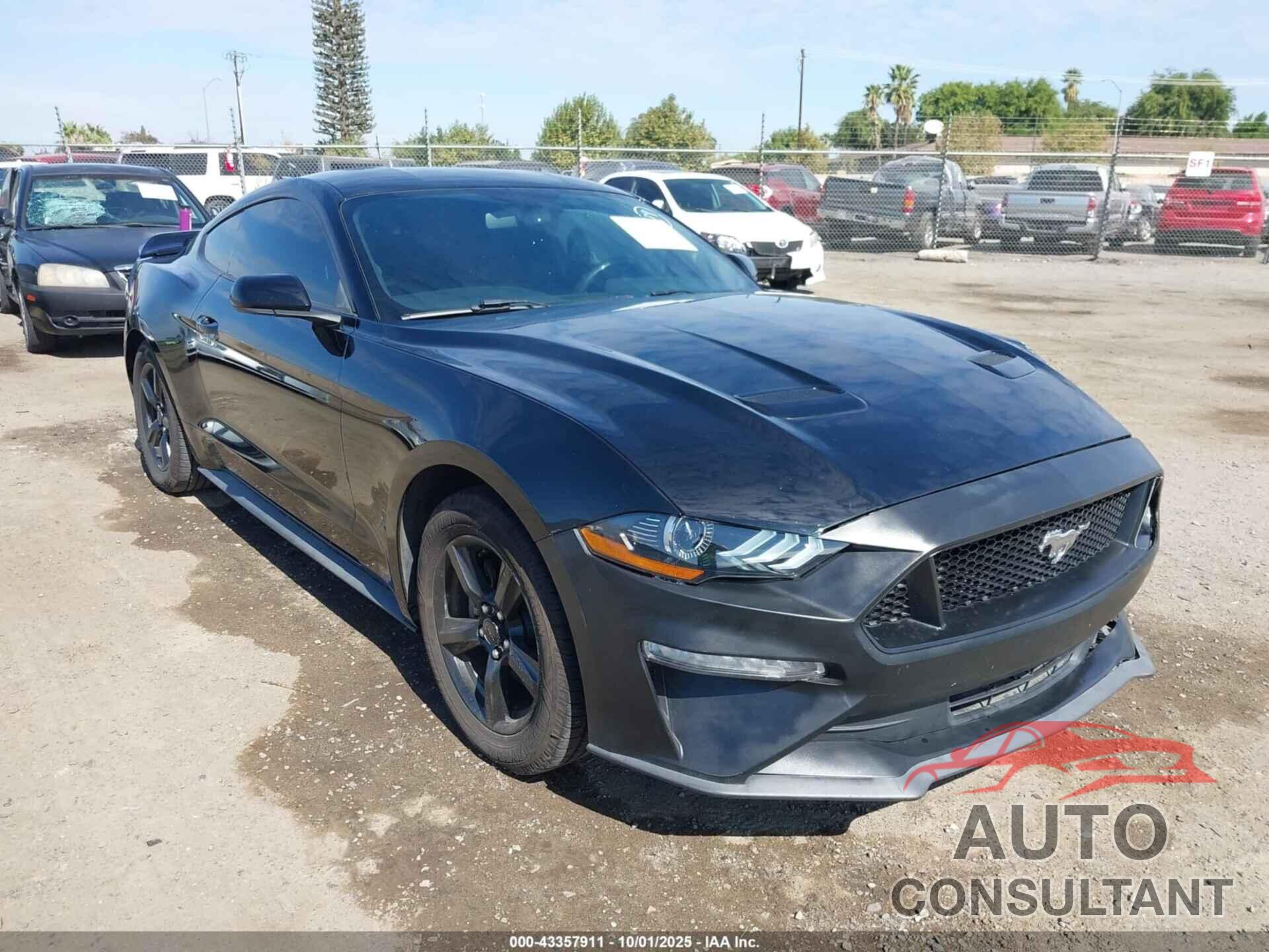 FORD MUSTANG 2019 - 1FA6P8TH9K5169712