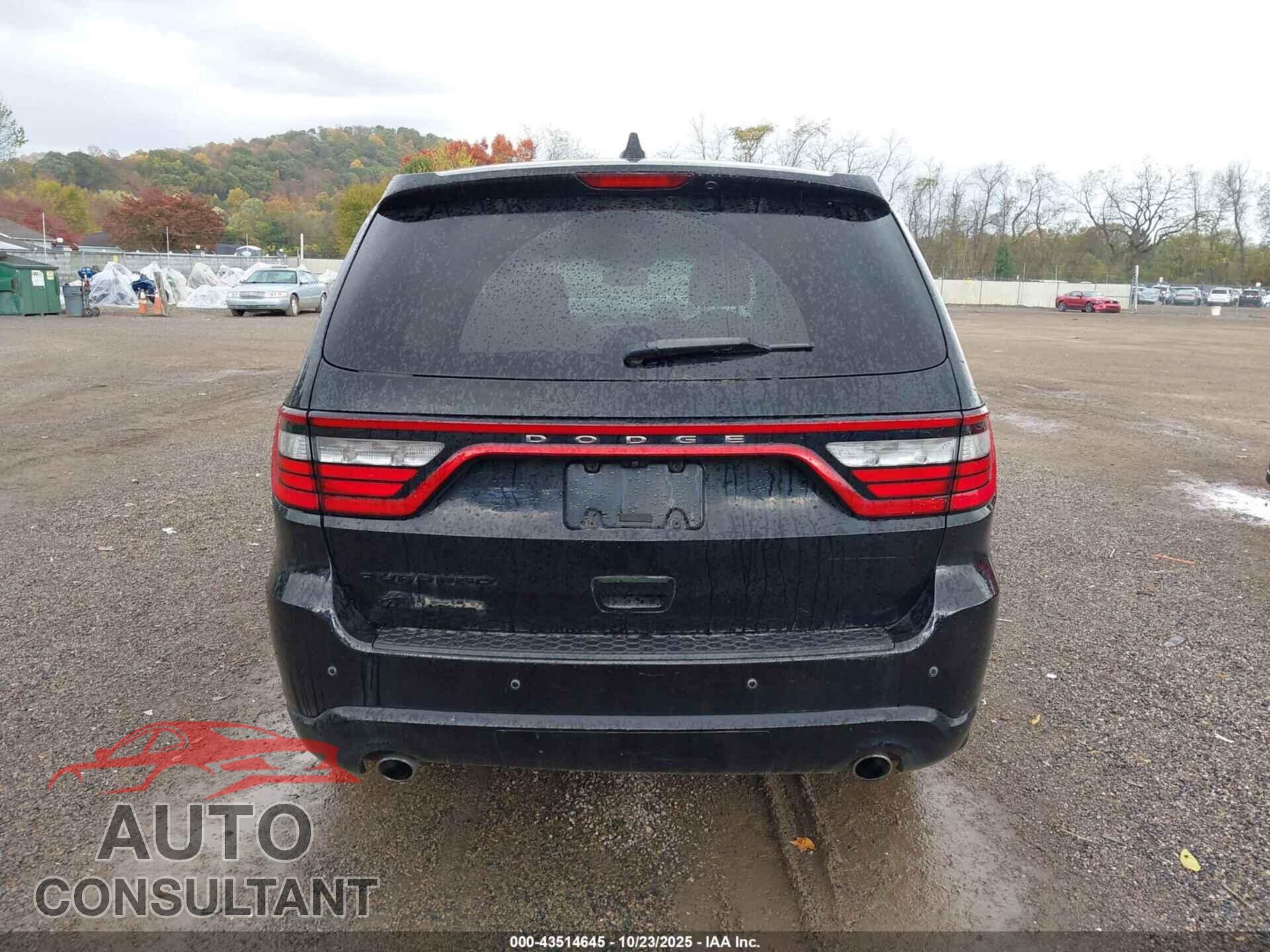 DODGE DURANGO 2019 - 1C4RDJAG6KC848205