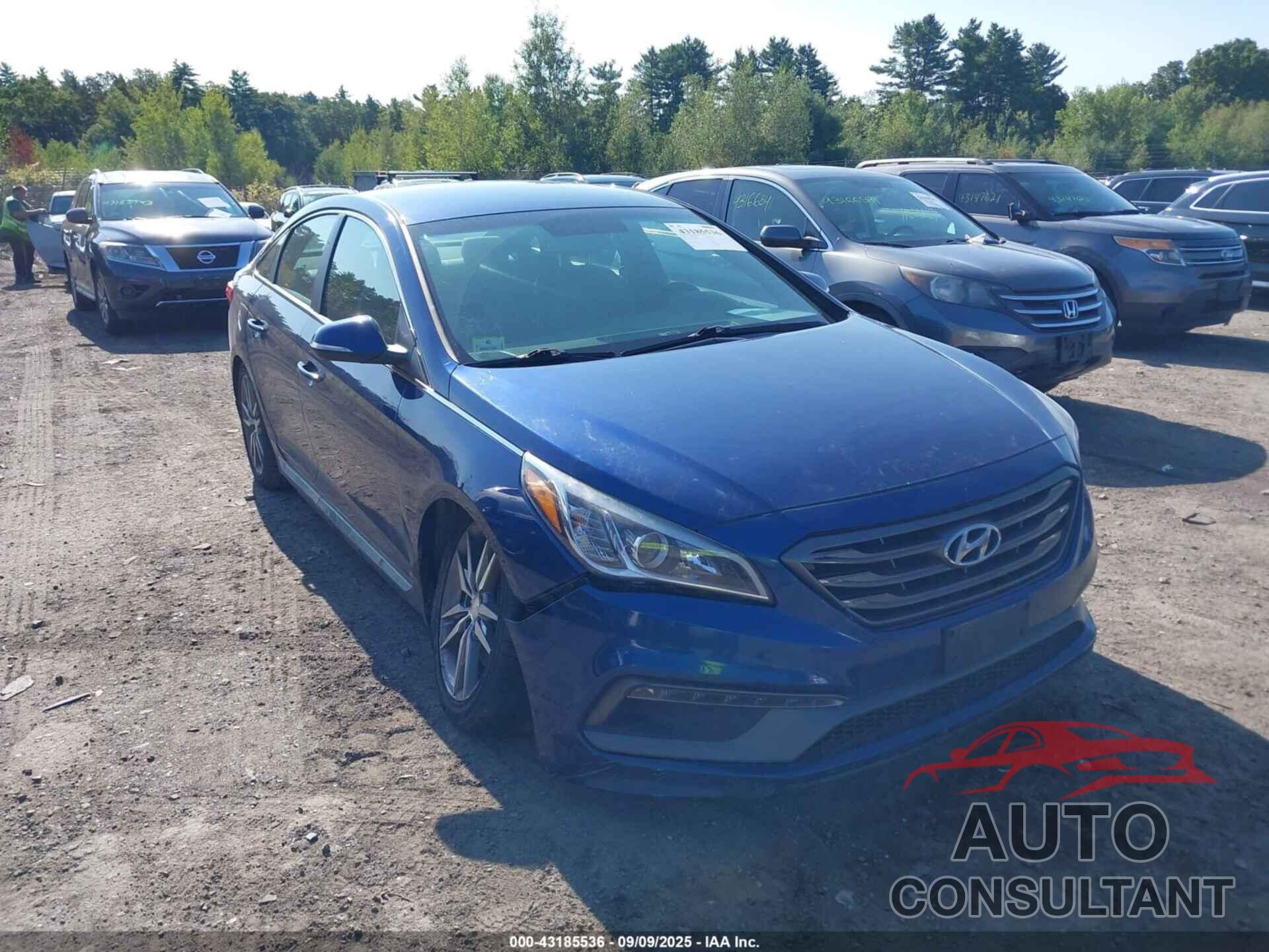 HYUNDAI SONATA 2017 - 5NPE34AB7HH496269