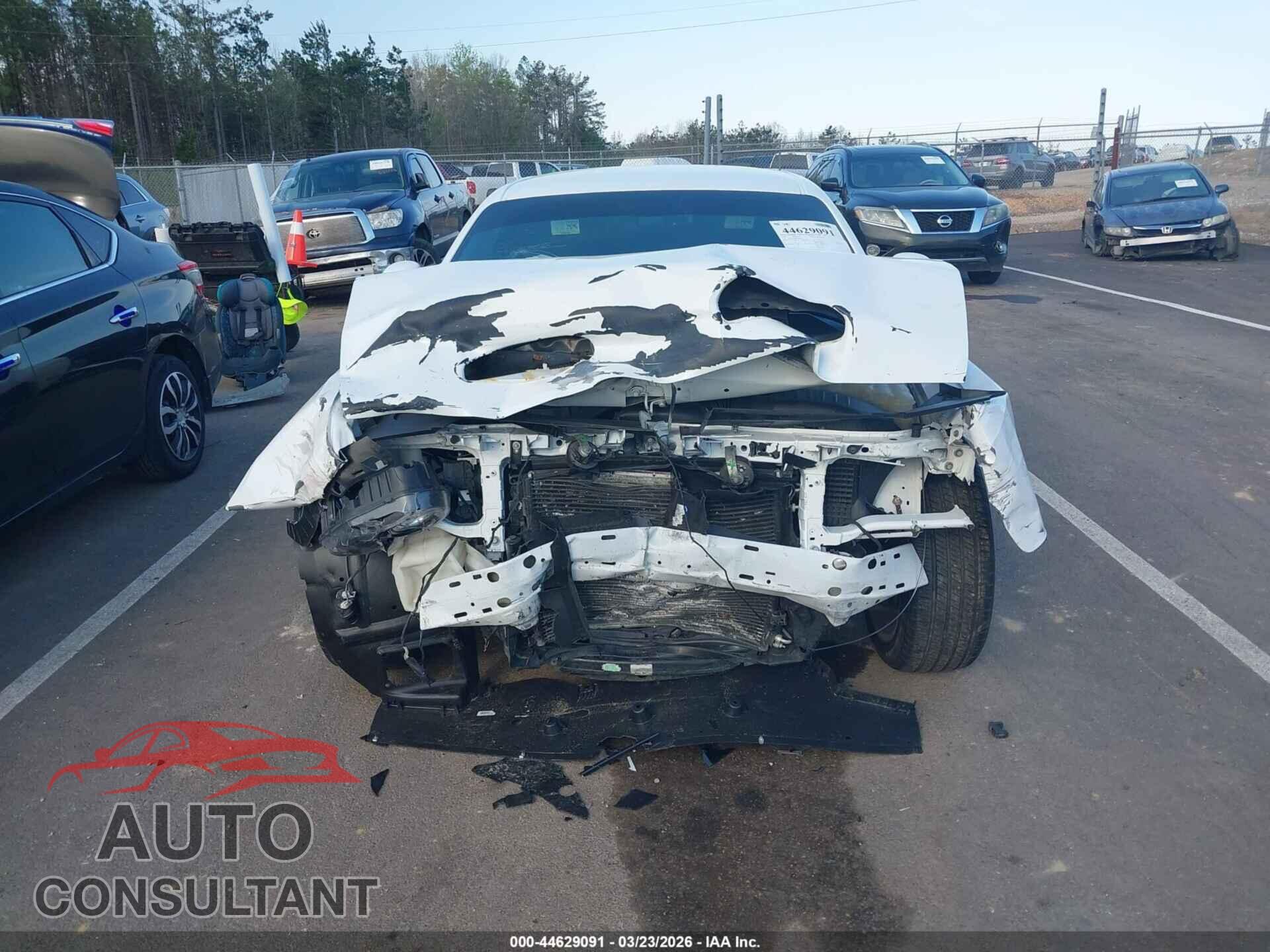DODGE CHALLENGER 2019 - 2C3CDZBT8KH708450