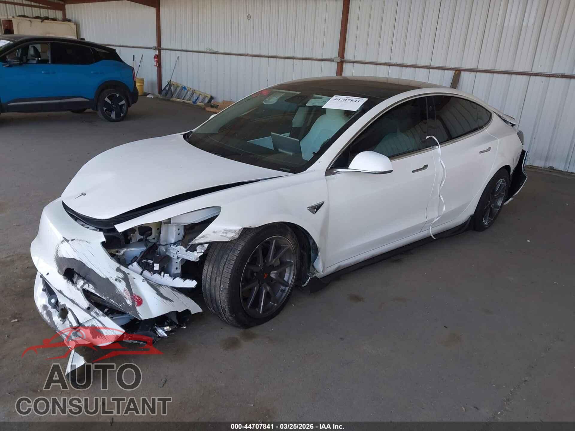 TESLA MODEL 3 2019 - 5YJ3E1EA3KF509316