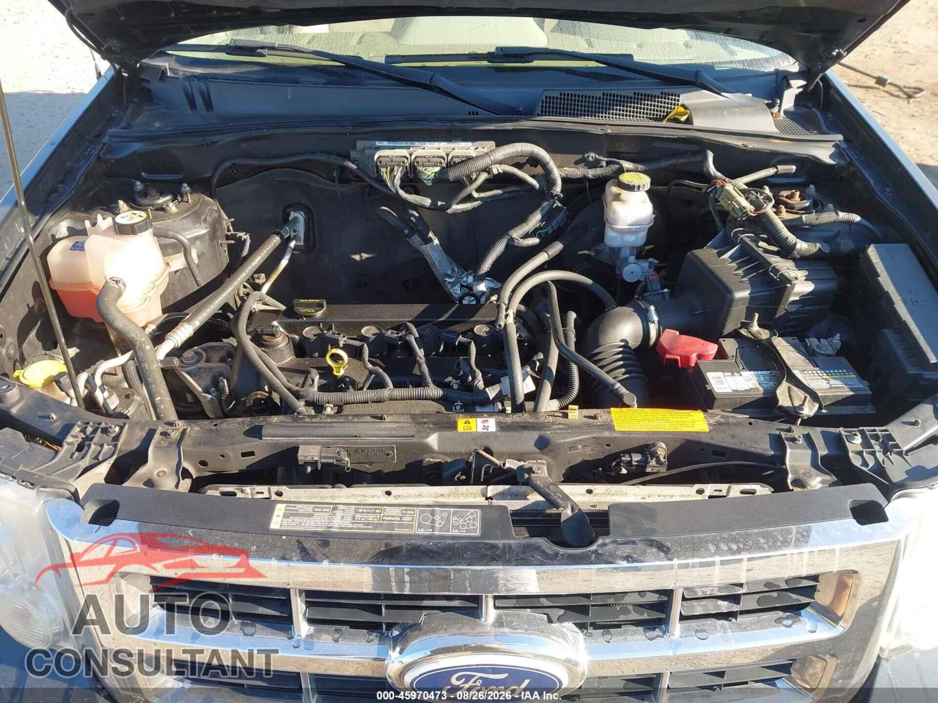 FORD ESCAPE 2011 - 1FMCU9E76BKB15085
