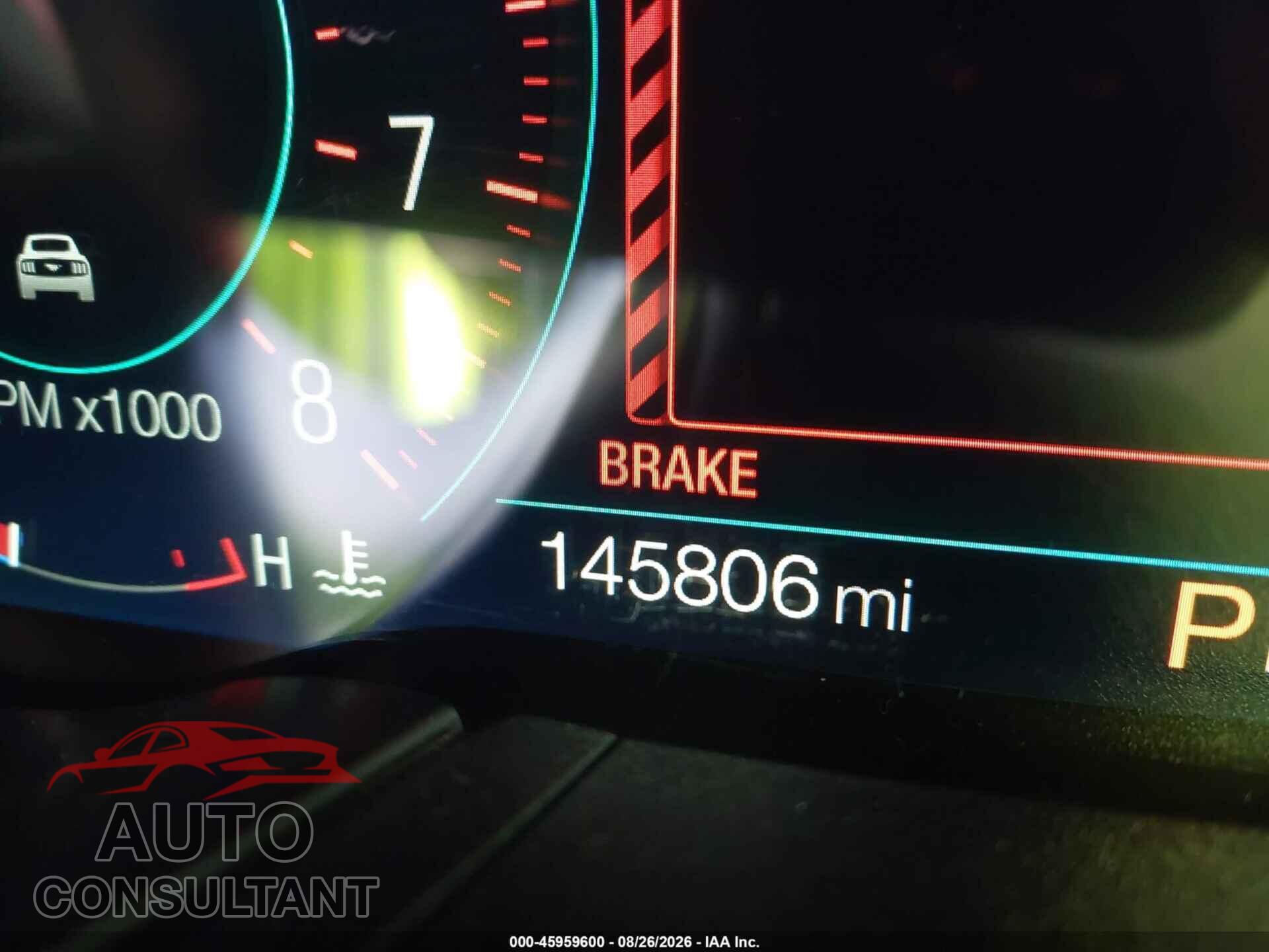 FORD MUSTANG 2019 - 1FA6P8TH2K5116477
