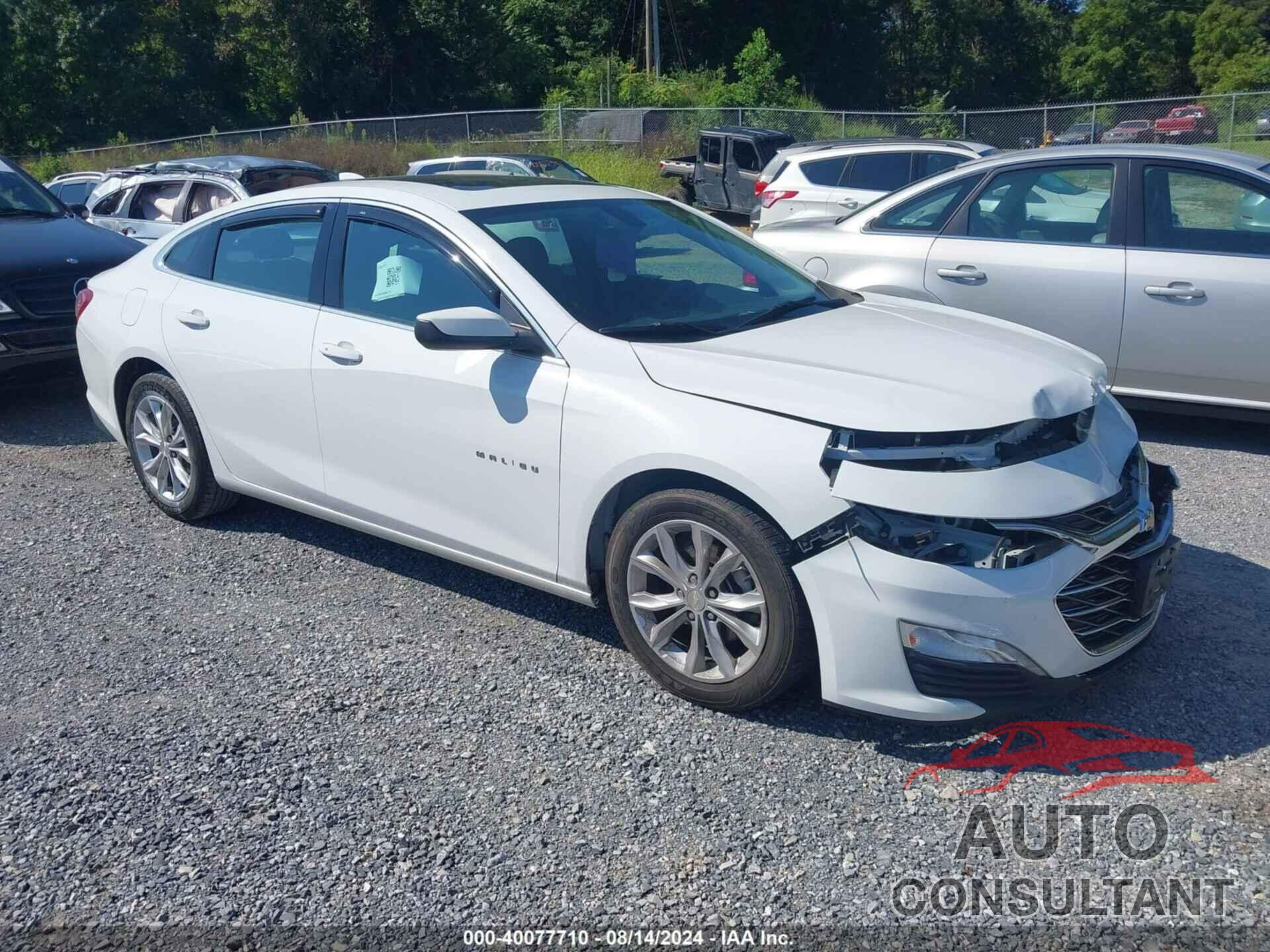 CHEVROLET MALIBU 2019 - 1G1ZD5ST3KF220693